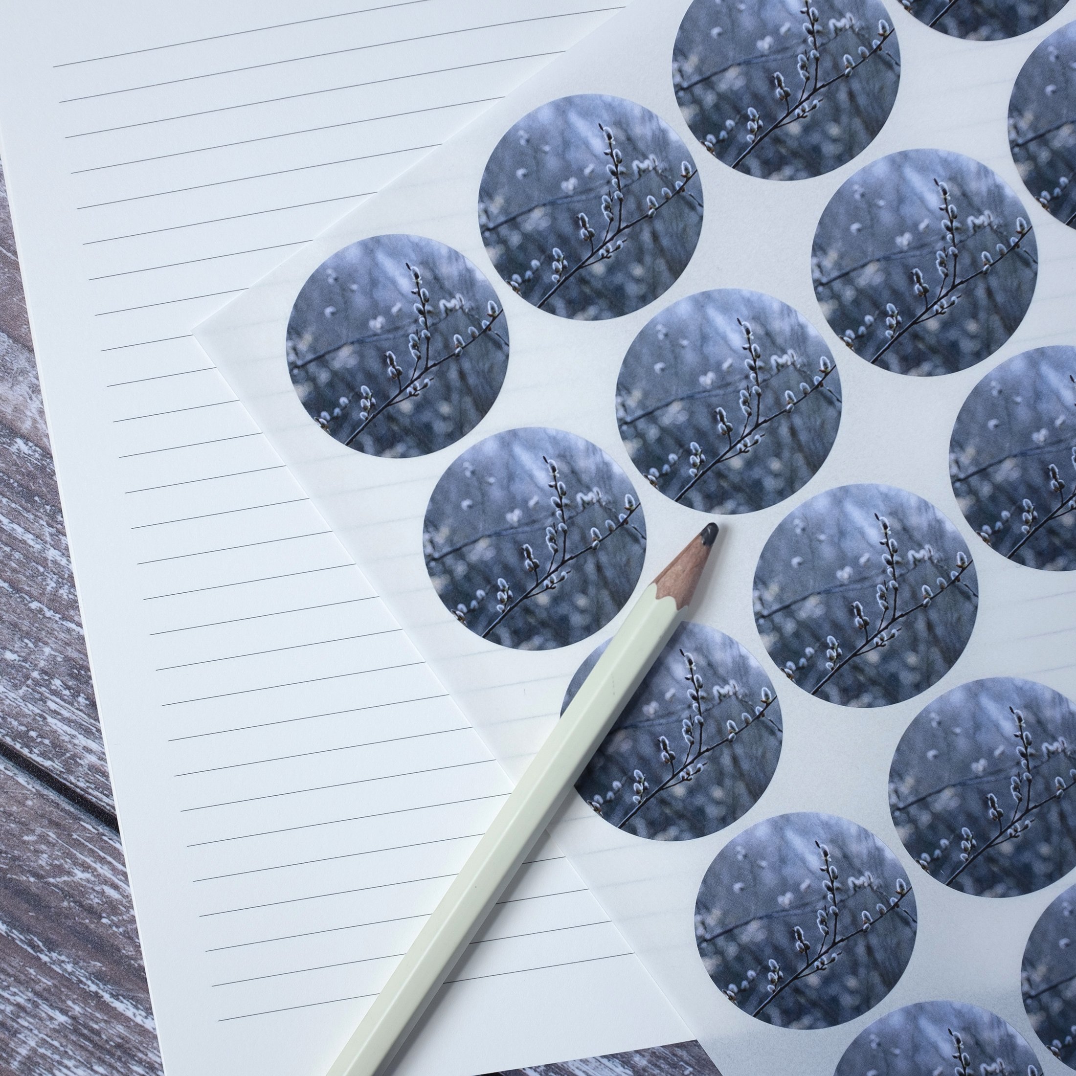 Spring stickers with catkins.