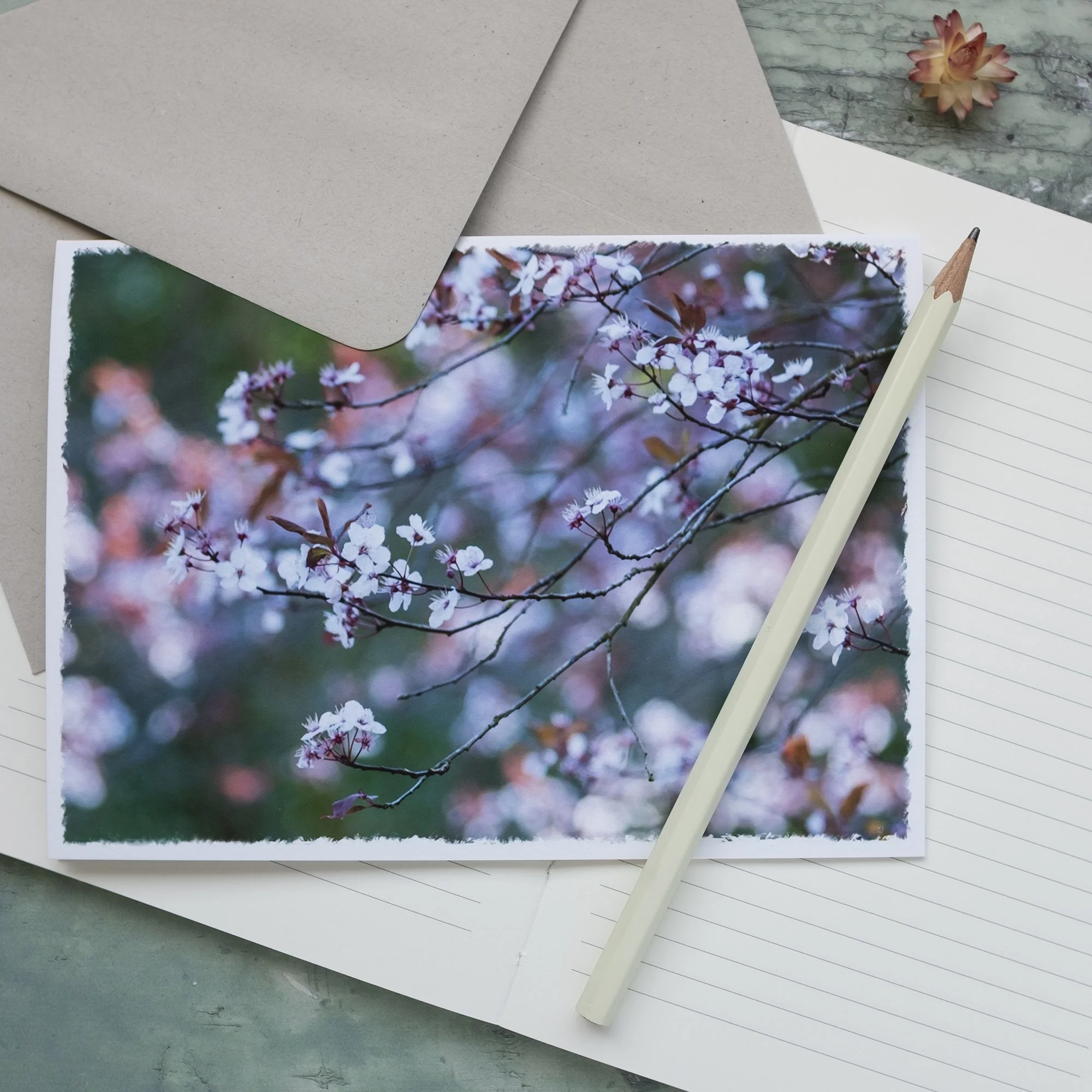 Cherry Plum Blossom Card