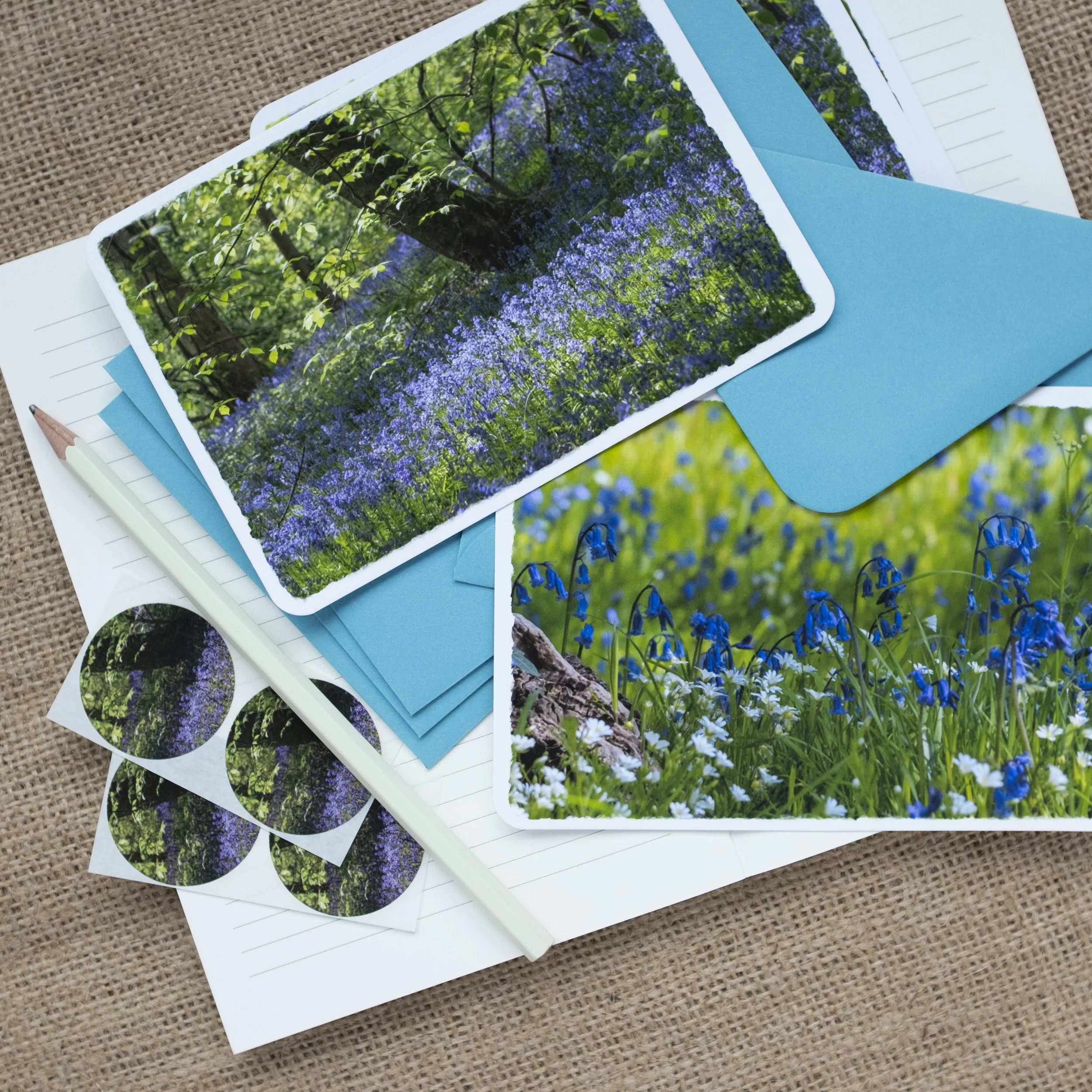 Bluebell notelets with stickers