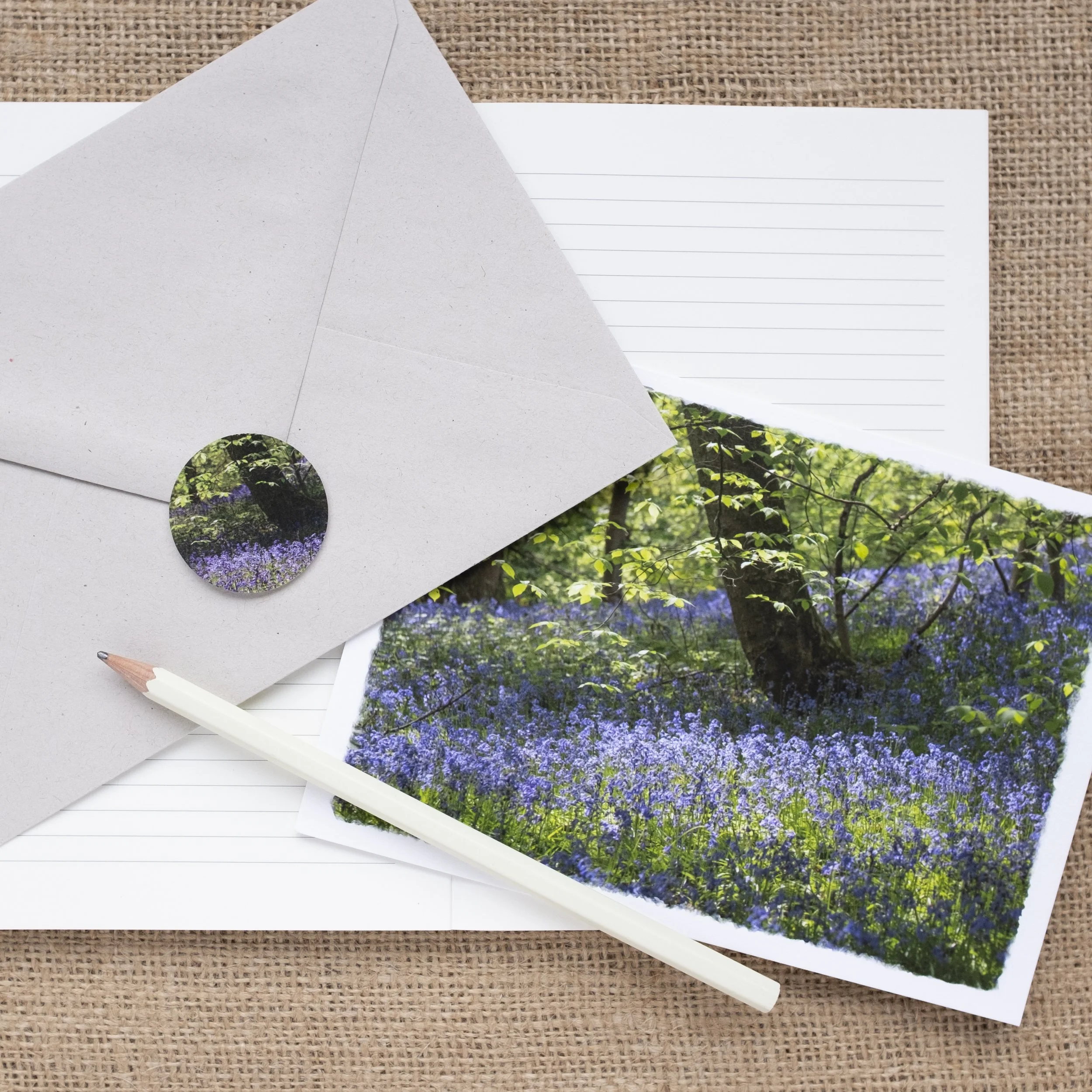 Bluebell Woods Greetings Card