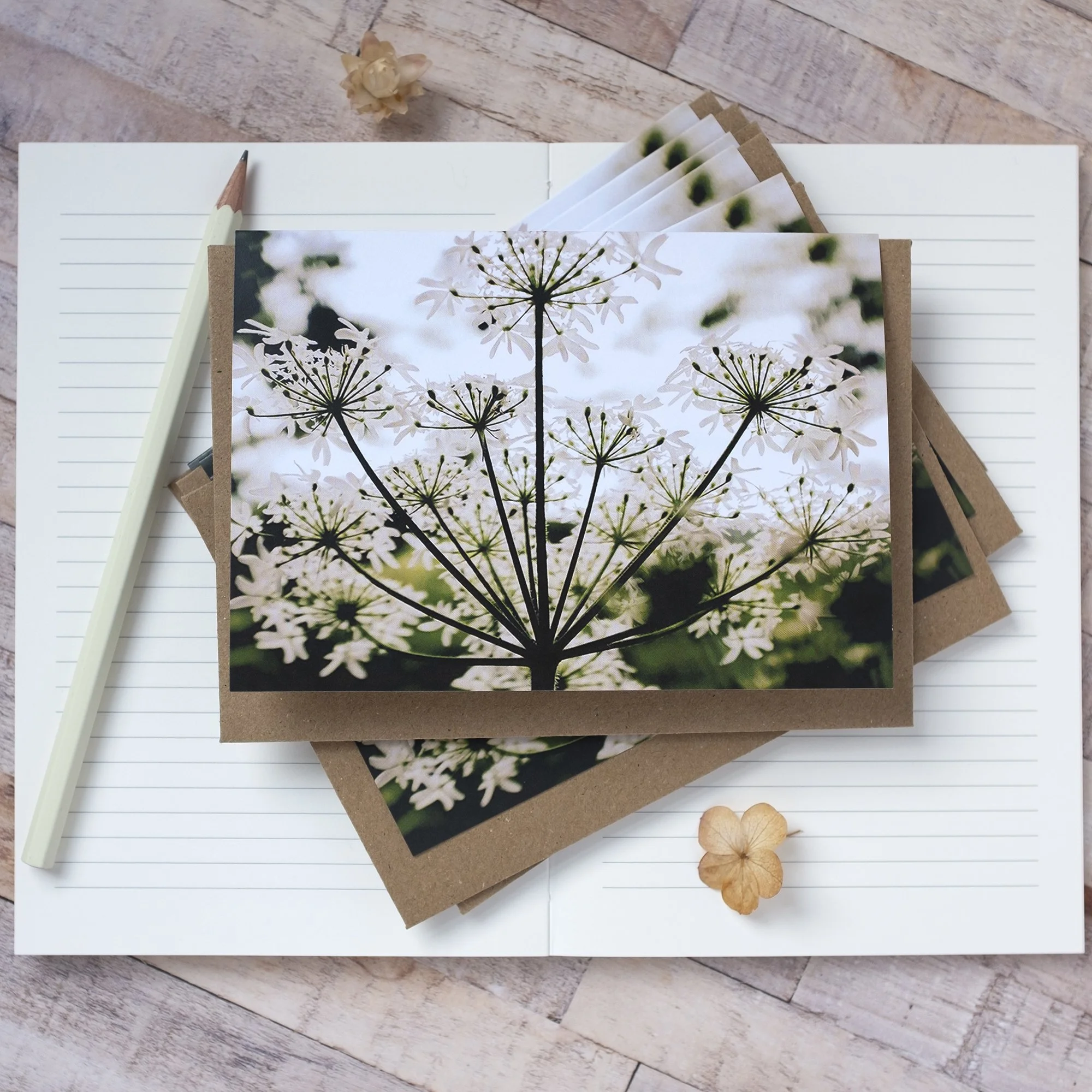 Wildflower Note Cards UK