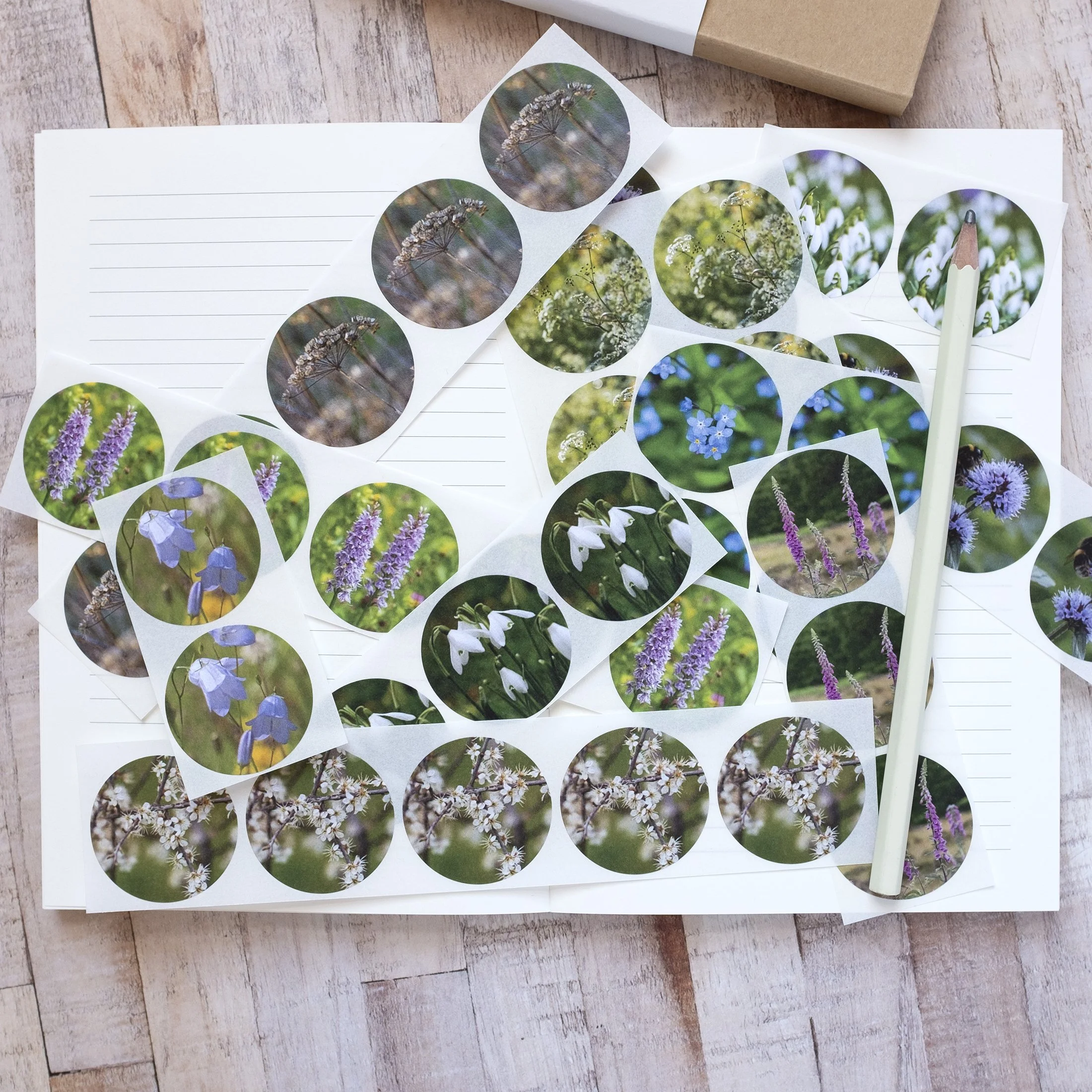 Wildflower Stickers Box Set