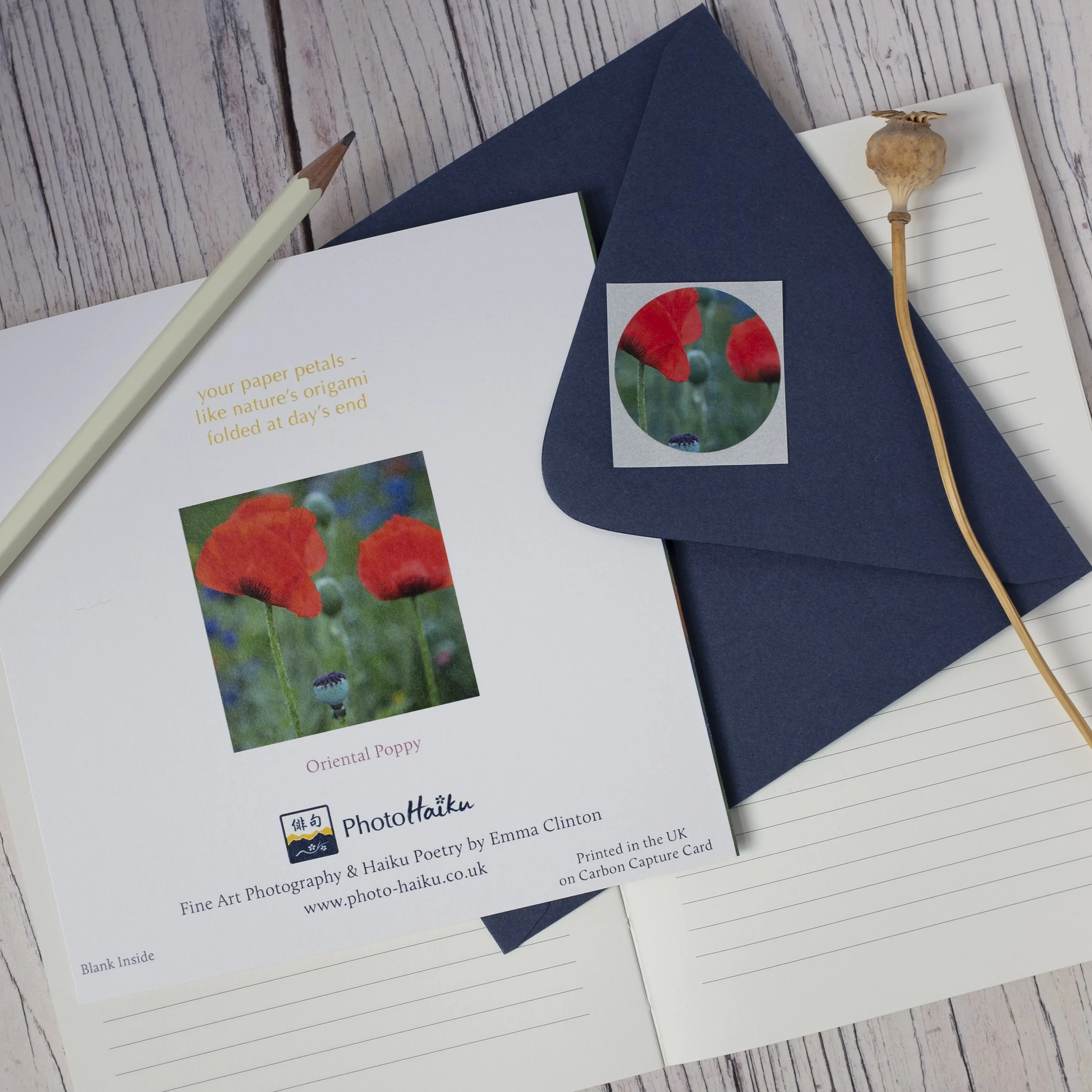 Poppy Garden Floral Greeting Card UK