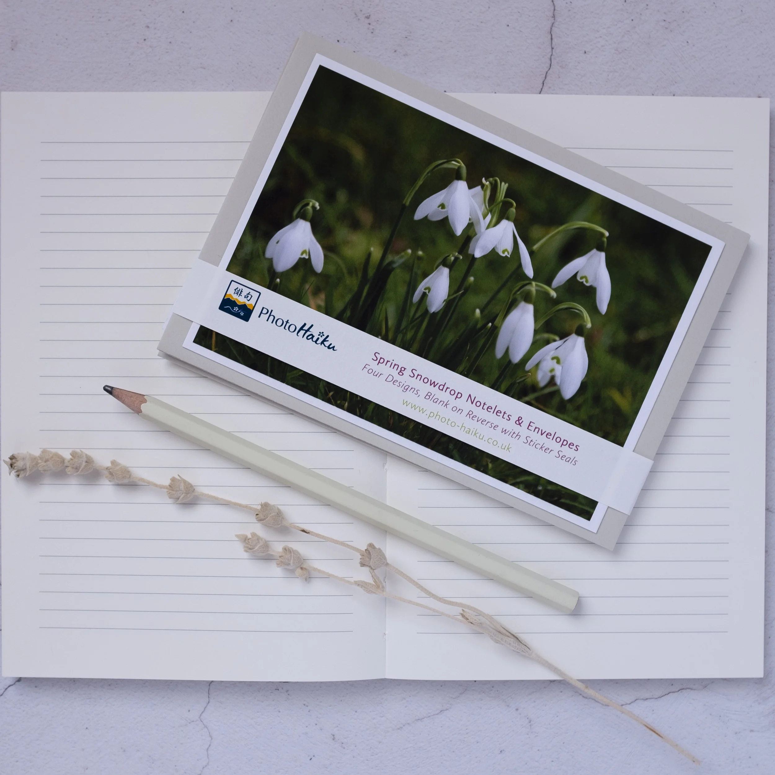 Snowdrop notelets set made in the UK, A6 with snowdrop sticker seals.