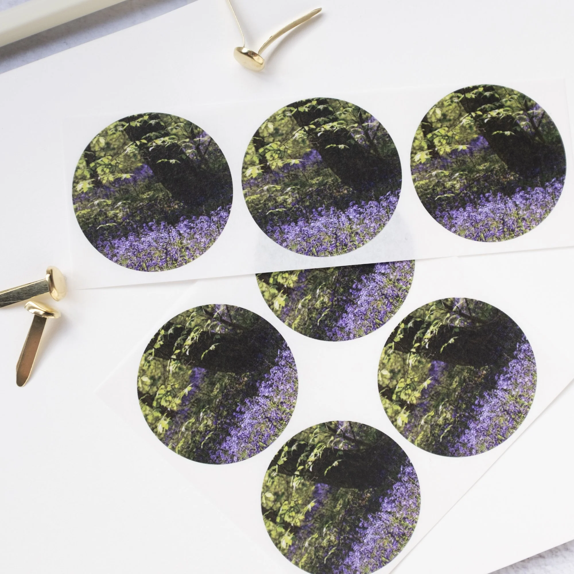 Bluebell woods stickers