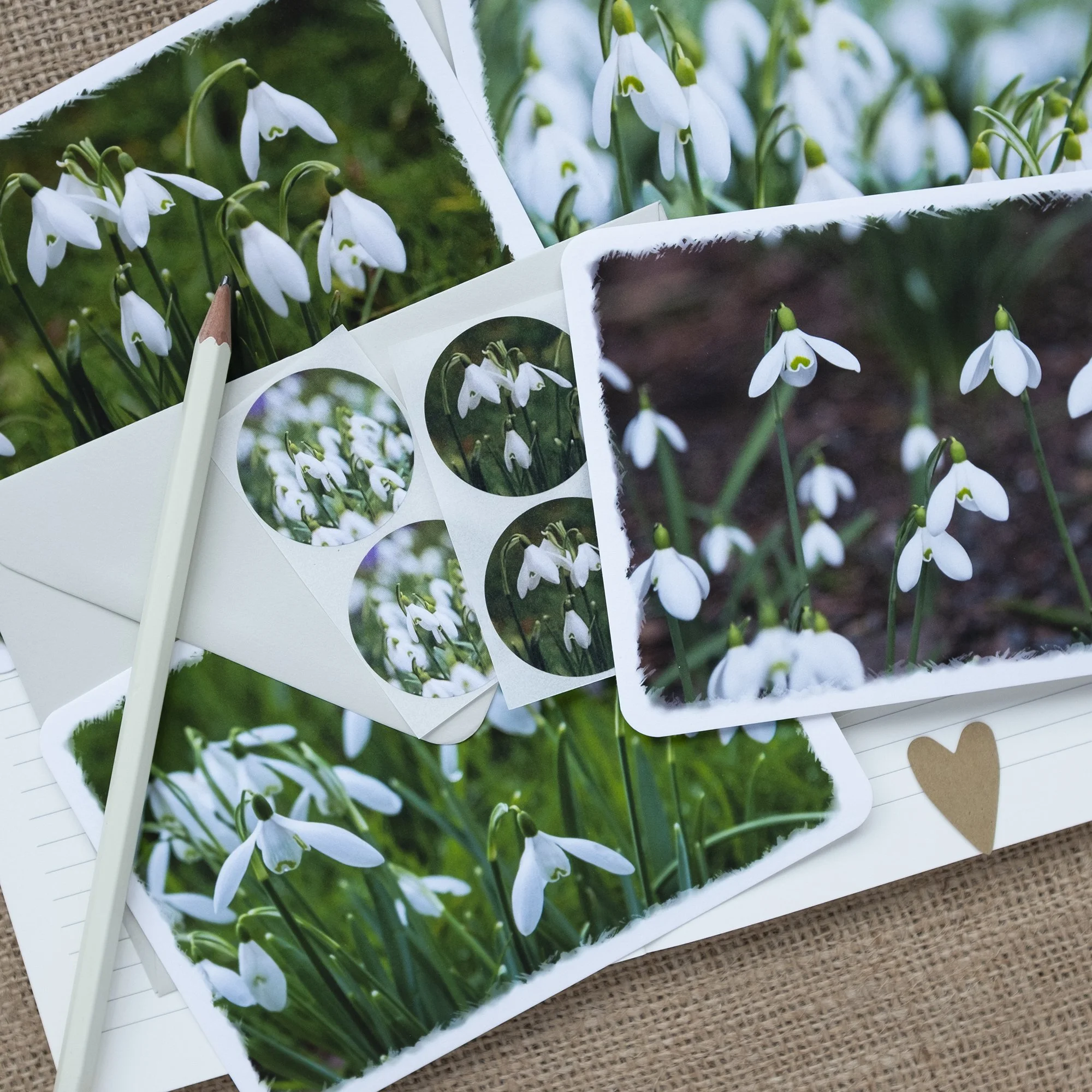 Snowdrop Notelets Set with Sticker Seals
