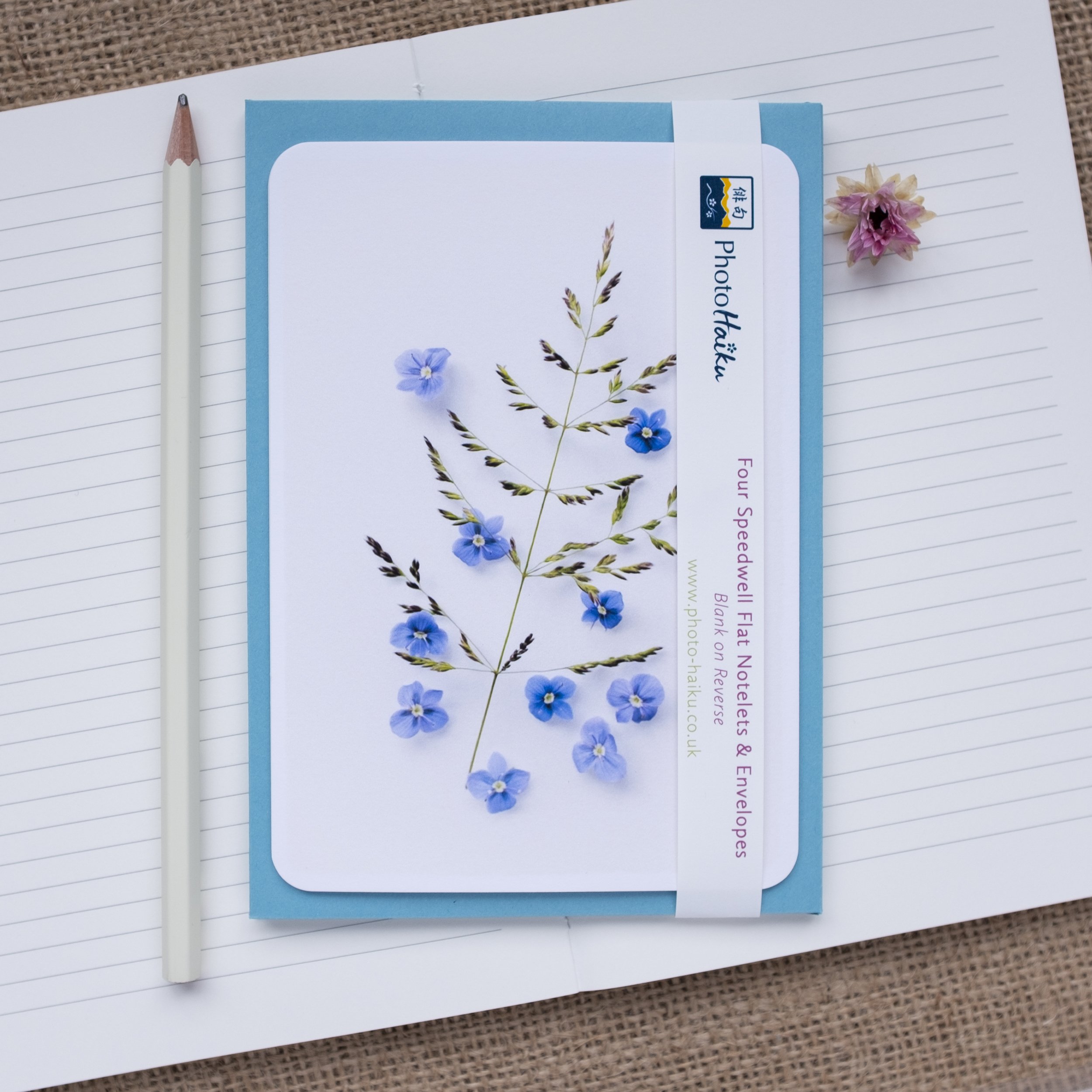 Blue speedwell wildflower notelets UK