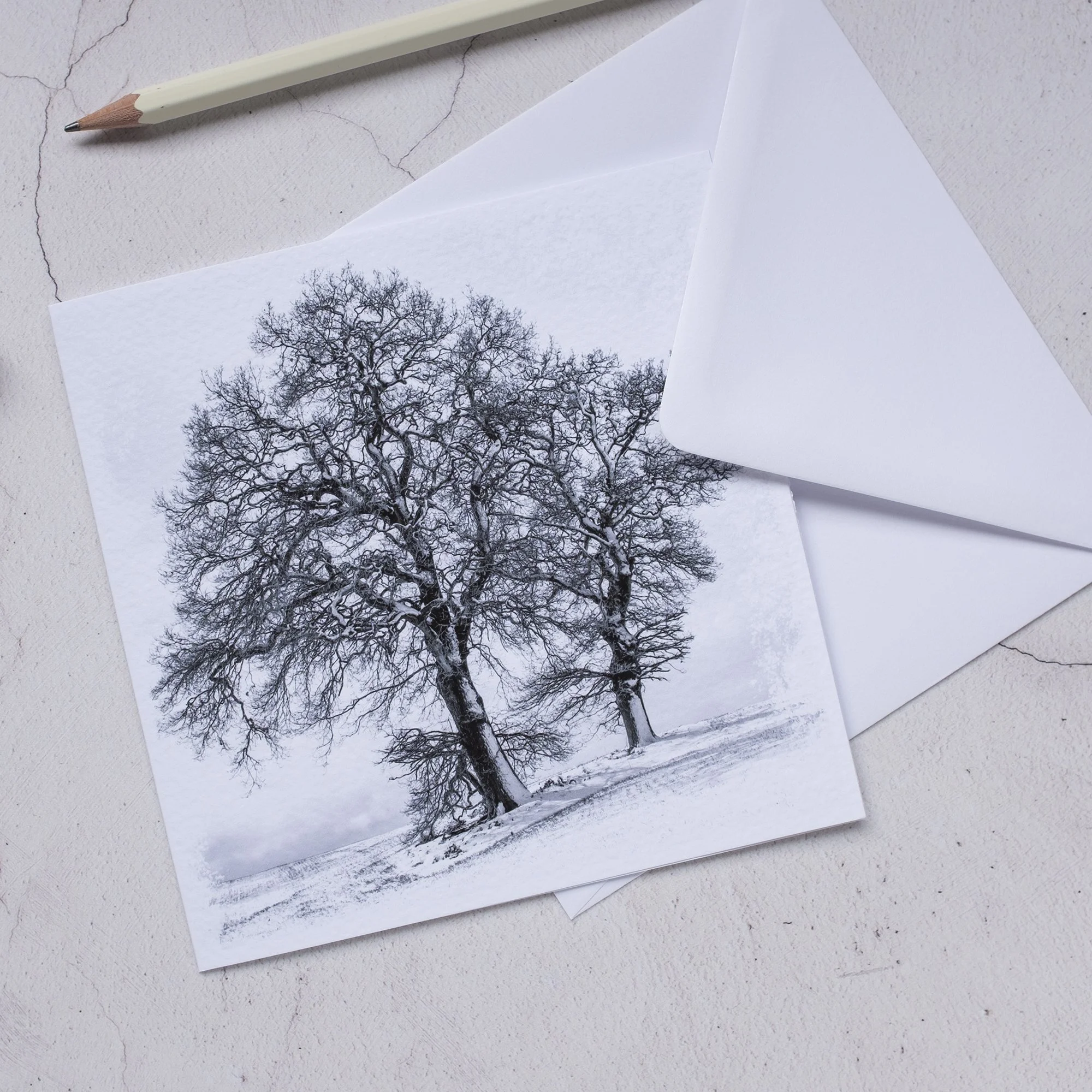 Winter Trees Black and White Photo Greeting Card