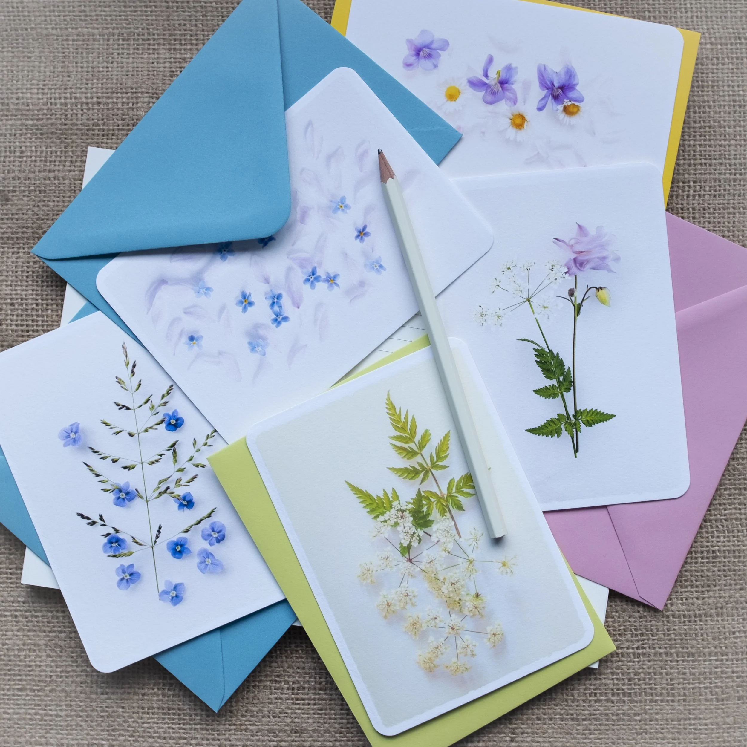 Wildflower notelets gift set UK