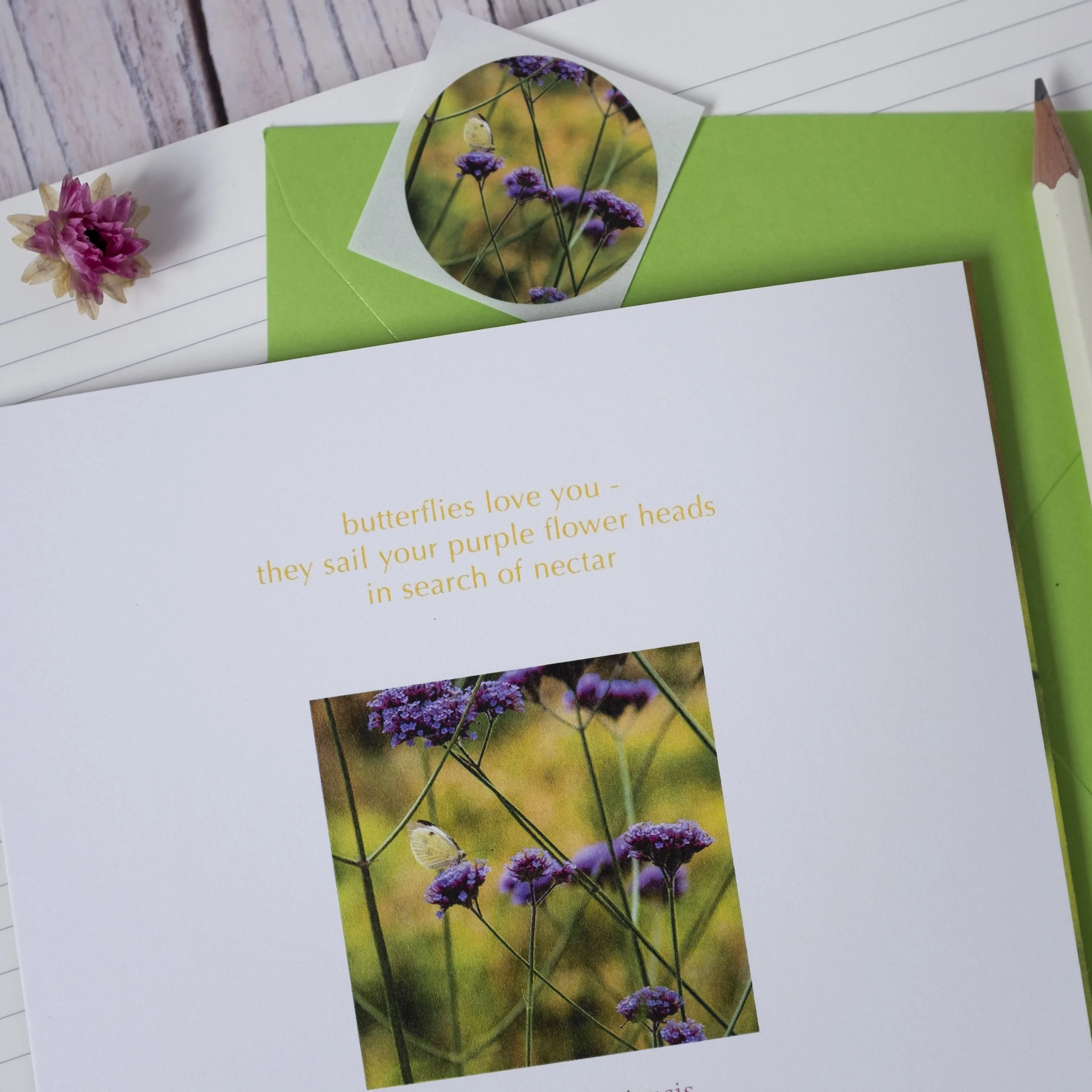 Verbena bonariensis eco-friendly garden floral card.