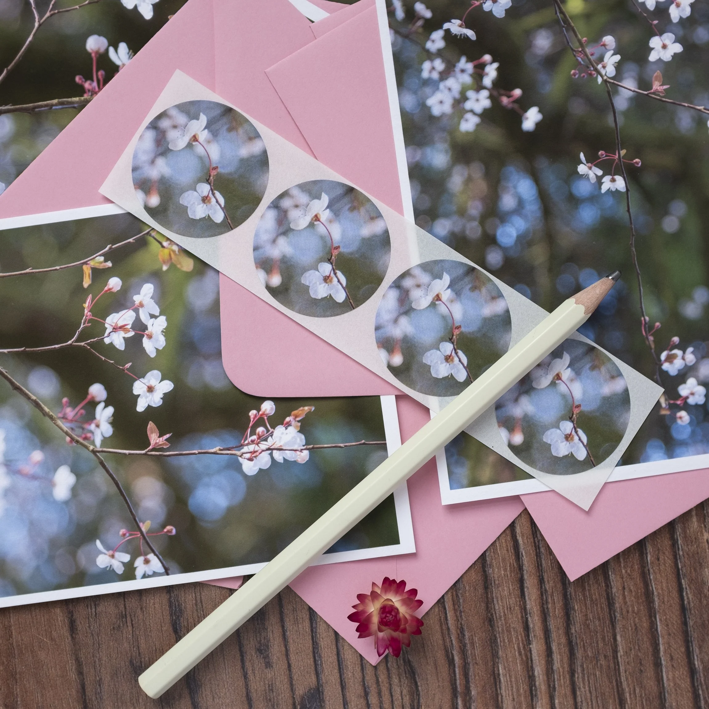 Cherry Plum Blossom Notelets Set1.jpg