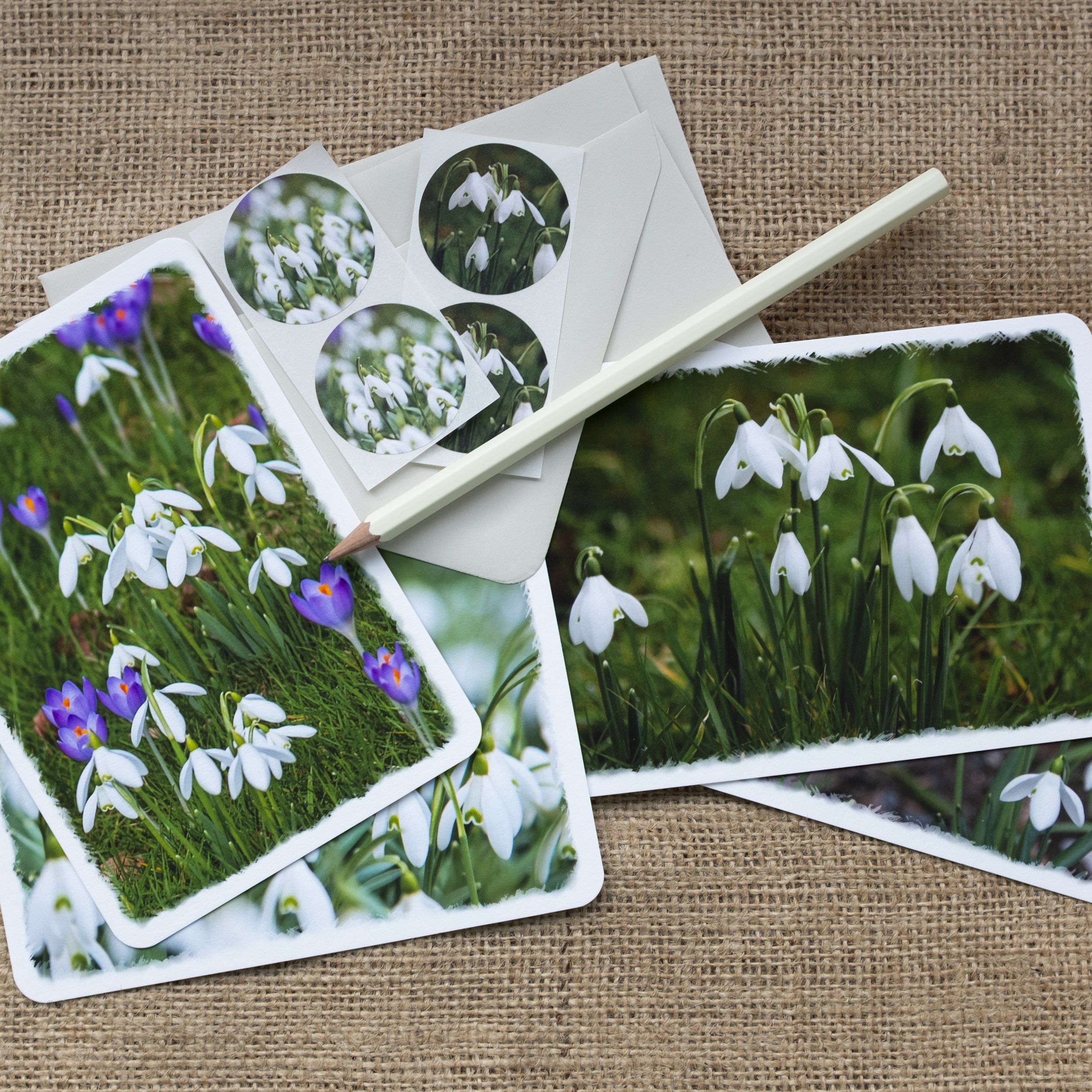 Snowdrop Note Cards UK.jpg