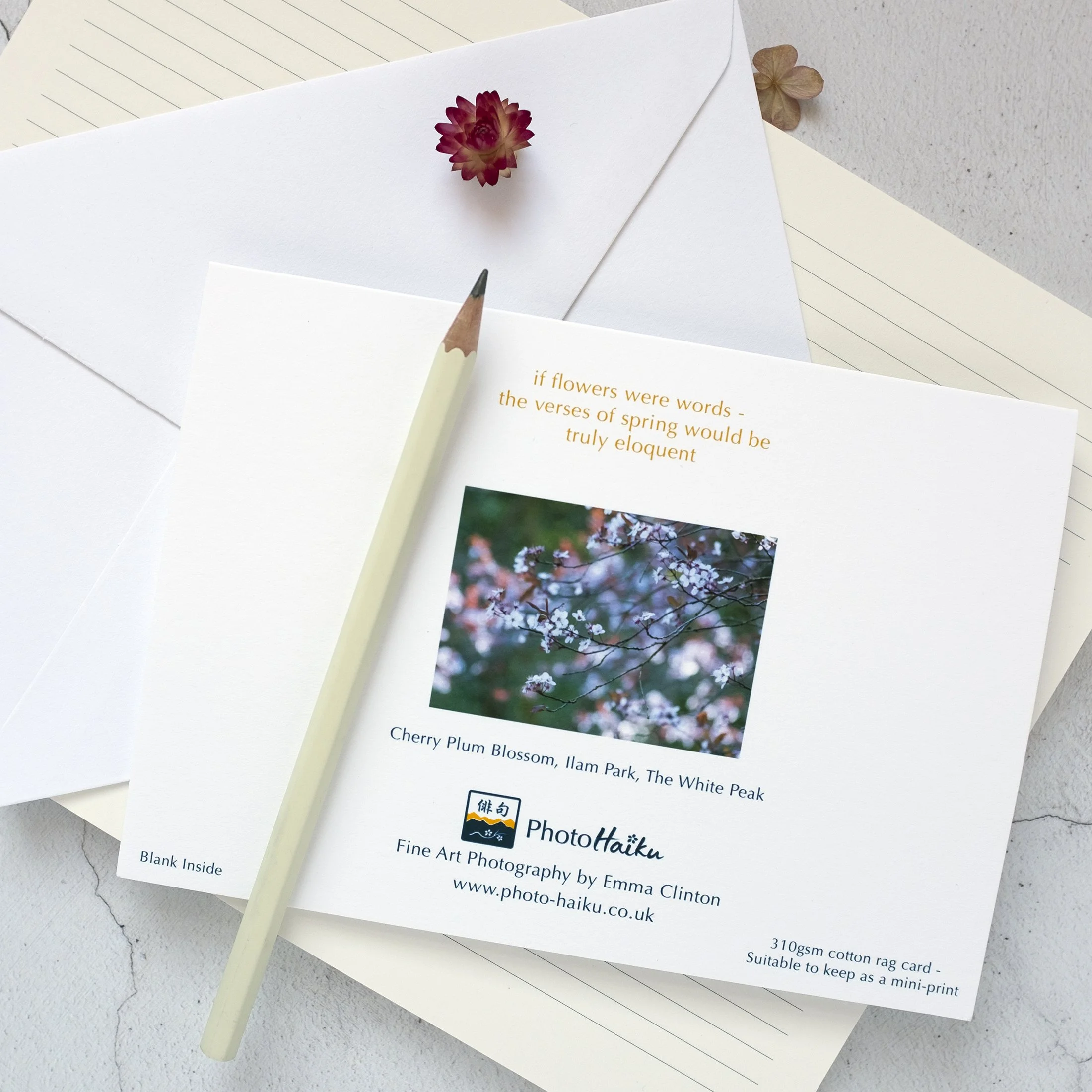 Luxury Cherry Plum Blossom Spring Greeting Card
