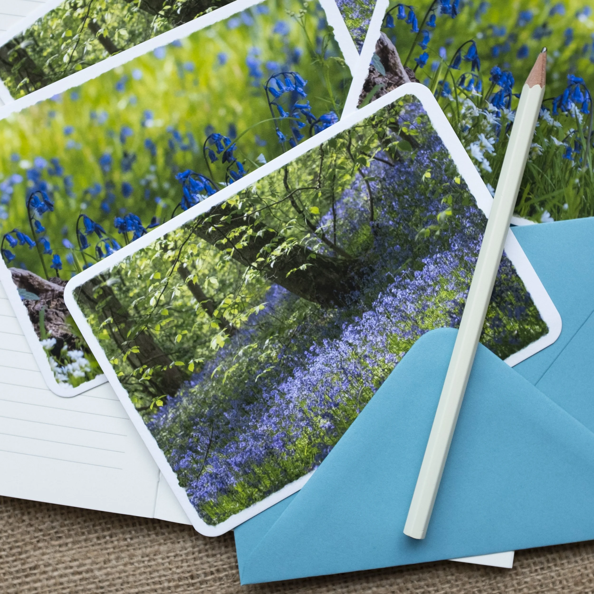 Bluebells Notelets UK