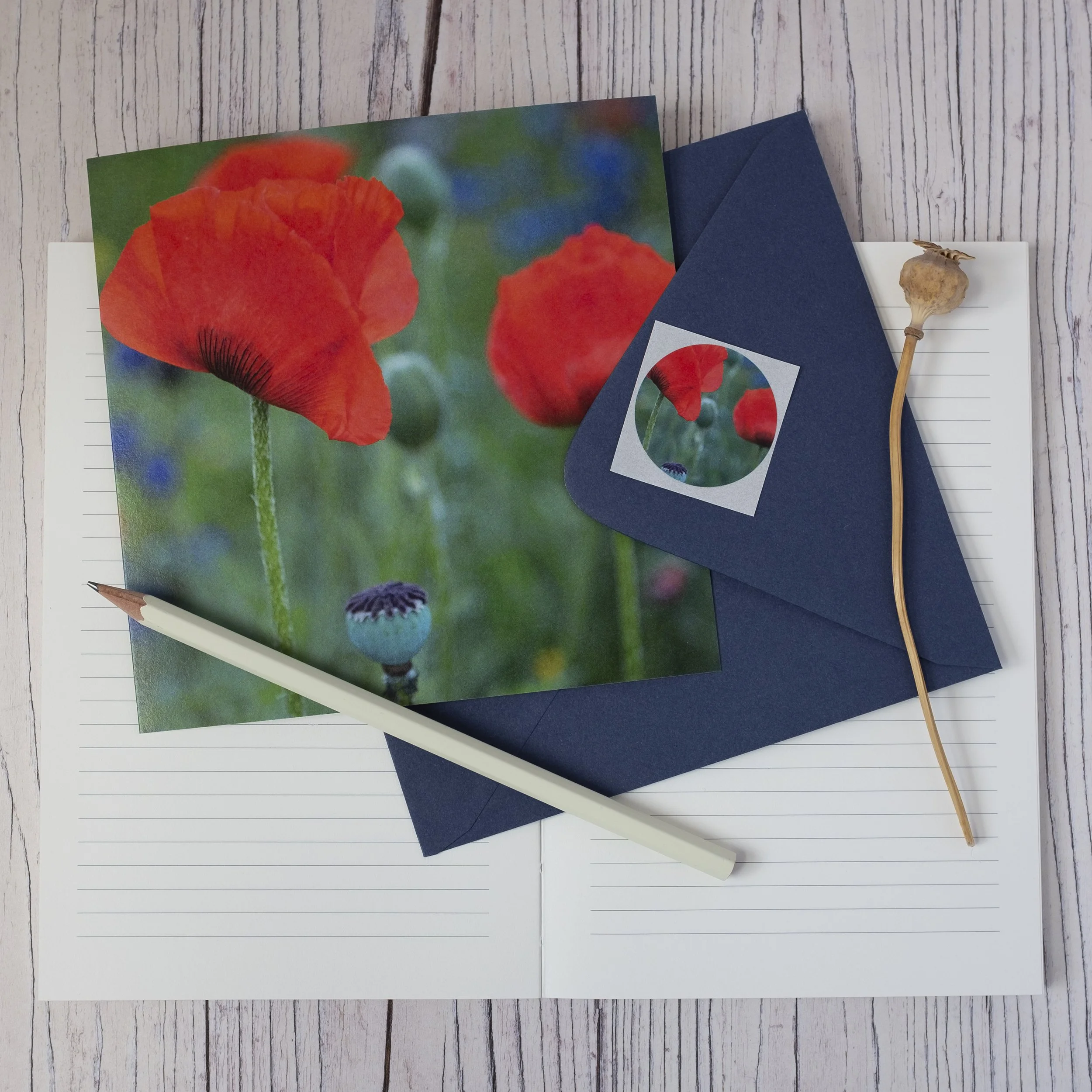 Poppy Garden Floral Greeting Card UK