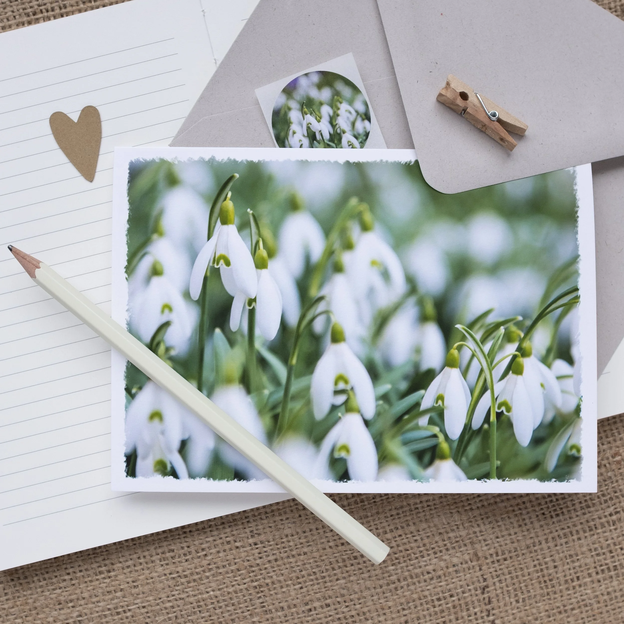 Snowdrops Greeting Card