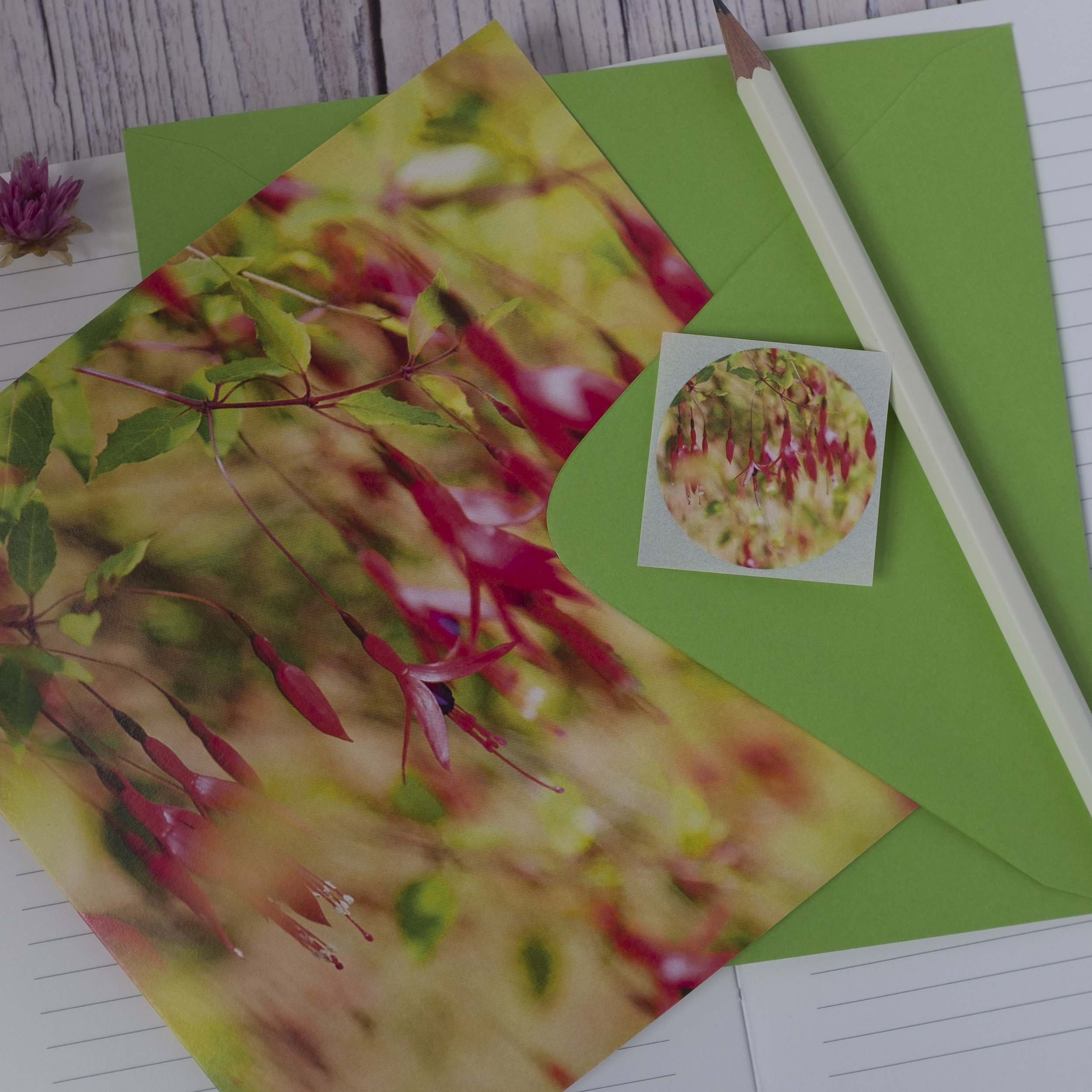 Fuchsia eco-friendly garden floral card.