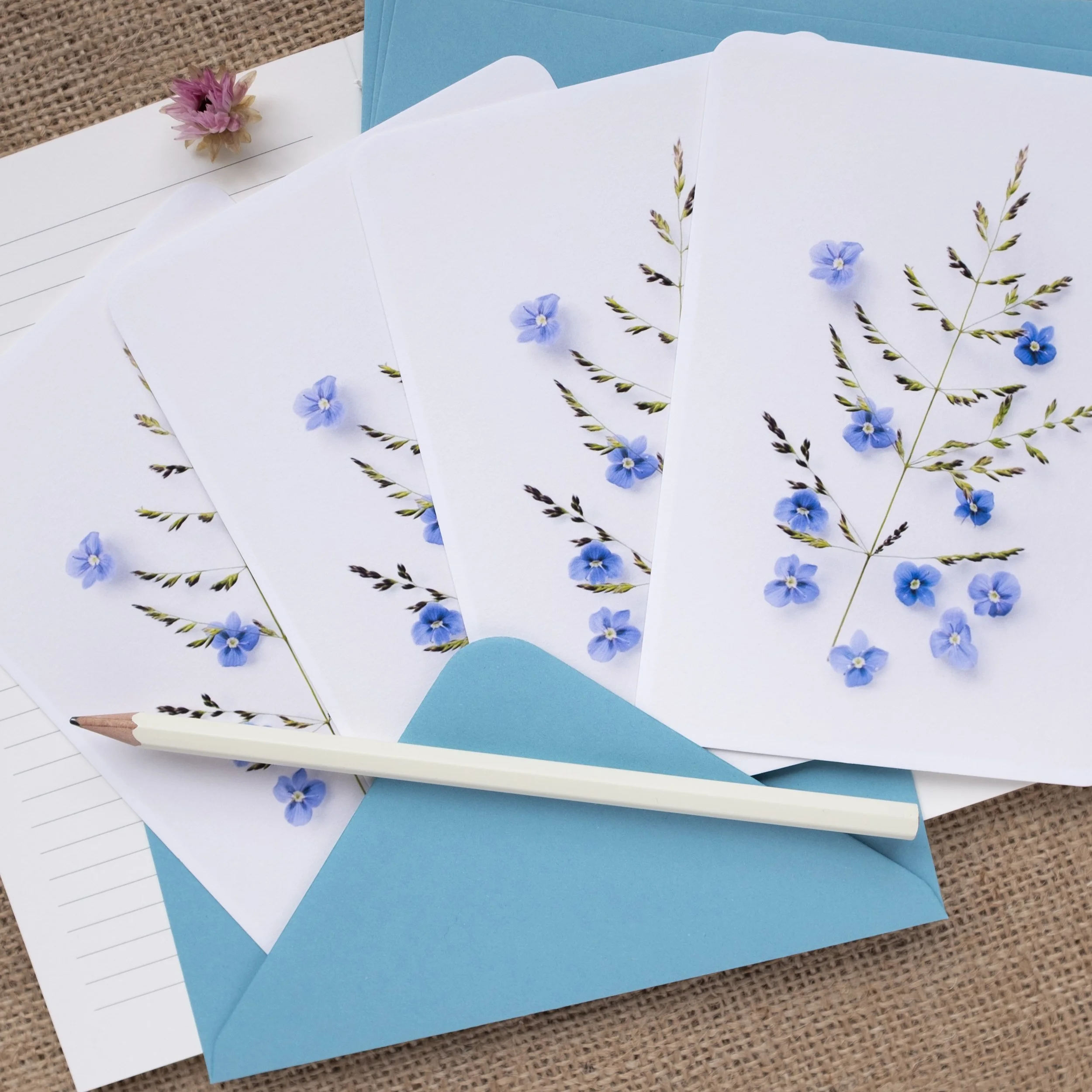 Blue speedwell wildflower notelets UK