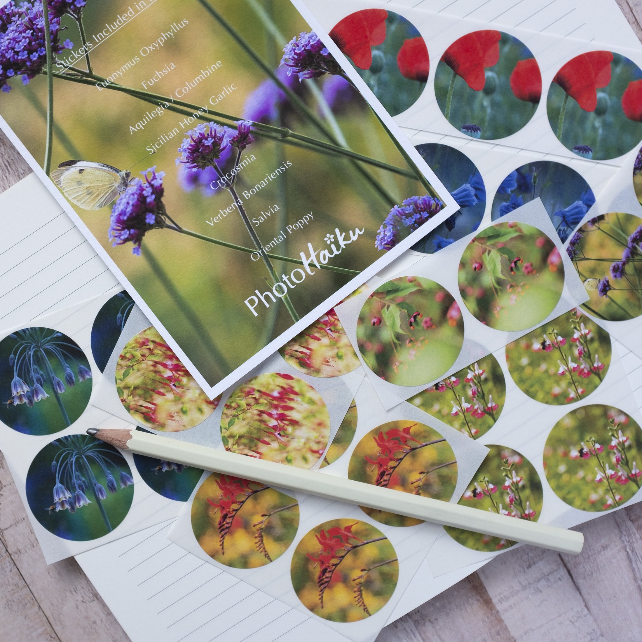 Boxed Set of 50 Round Garden Floral Stickers in Eight Varieties