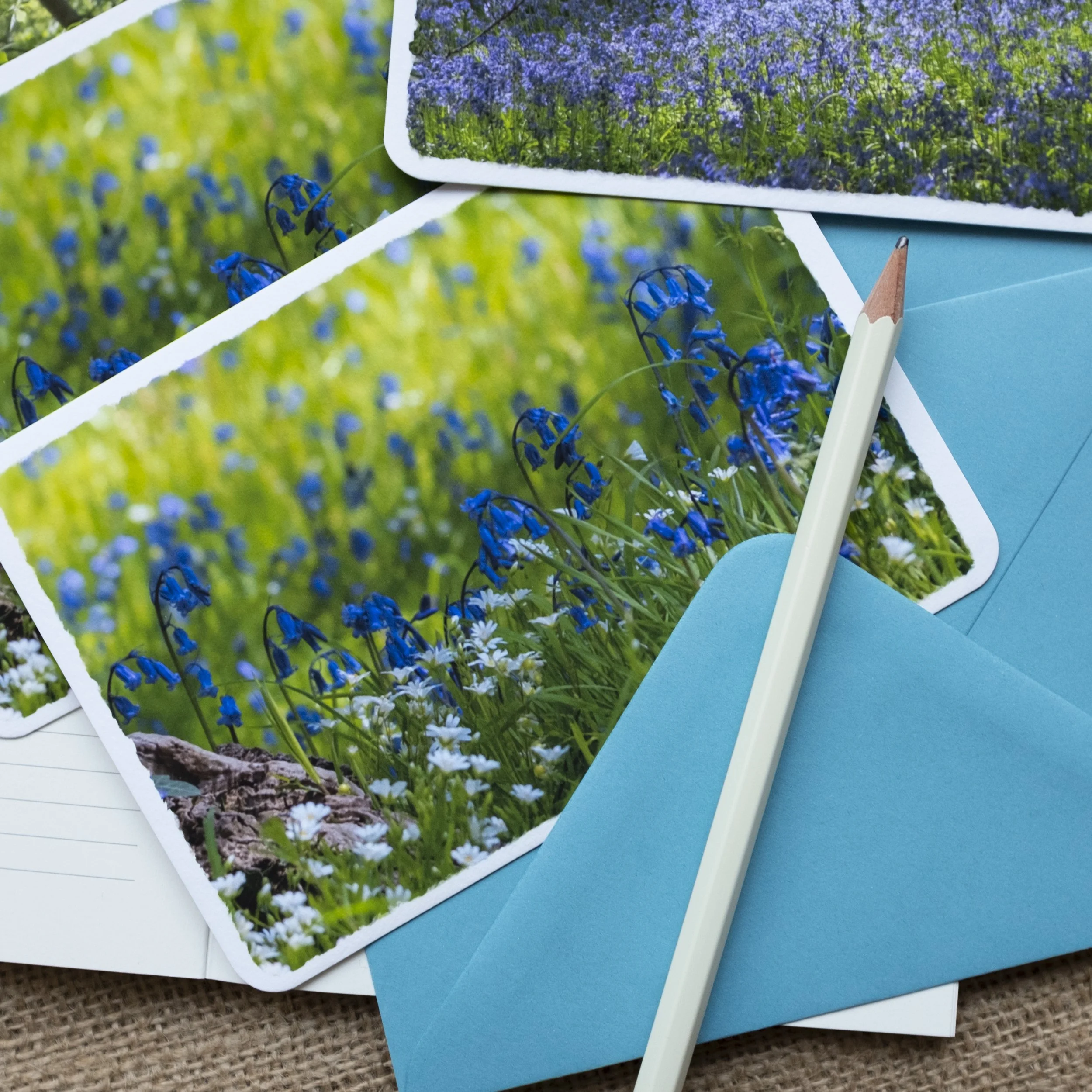 Bluebells Notelets UK