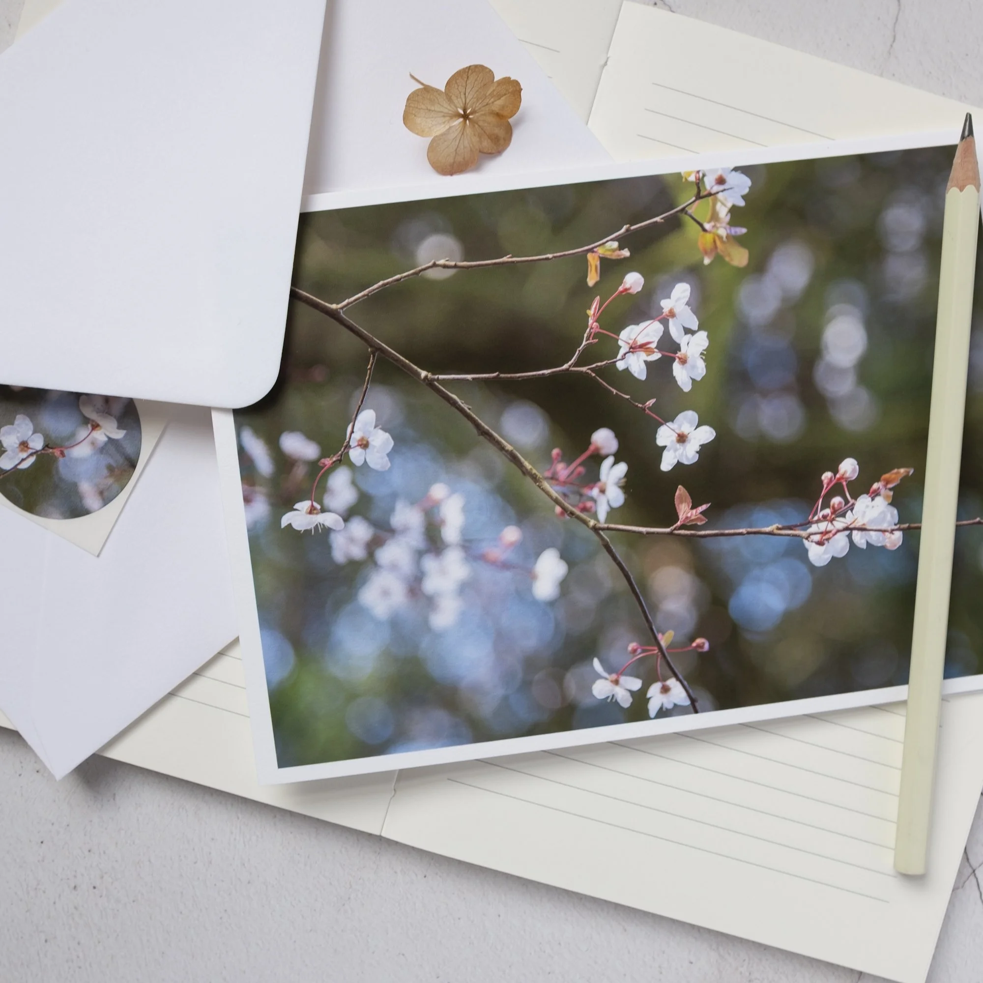 Cherry Blossom Spring Card with Sticker Seal