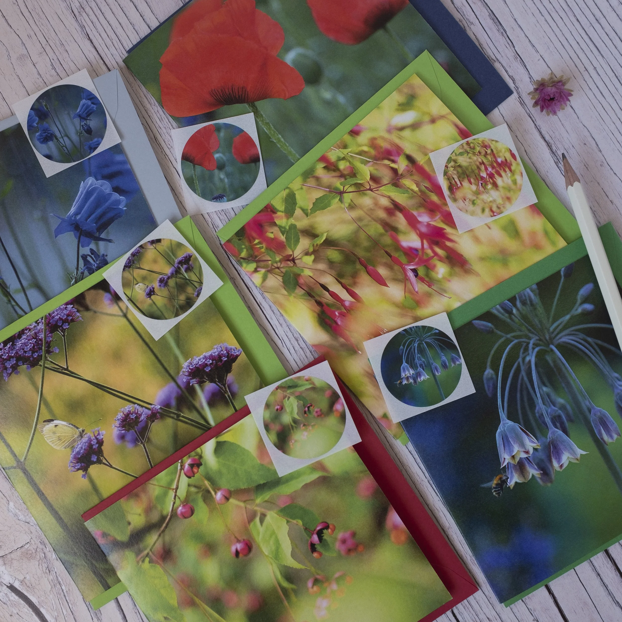 Garden Zen Collection, Set of Six Garden Floral Note Cards and Matching Sticker Seals