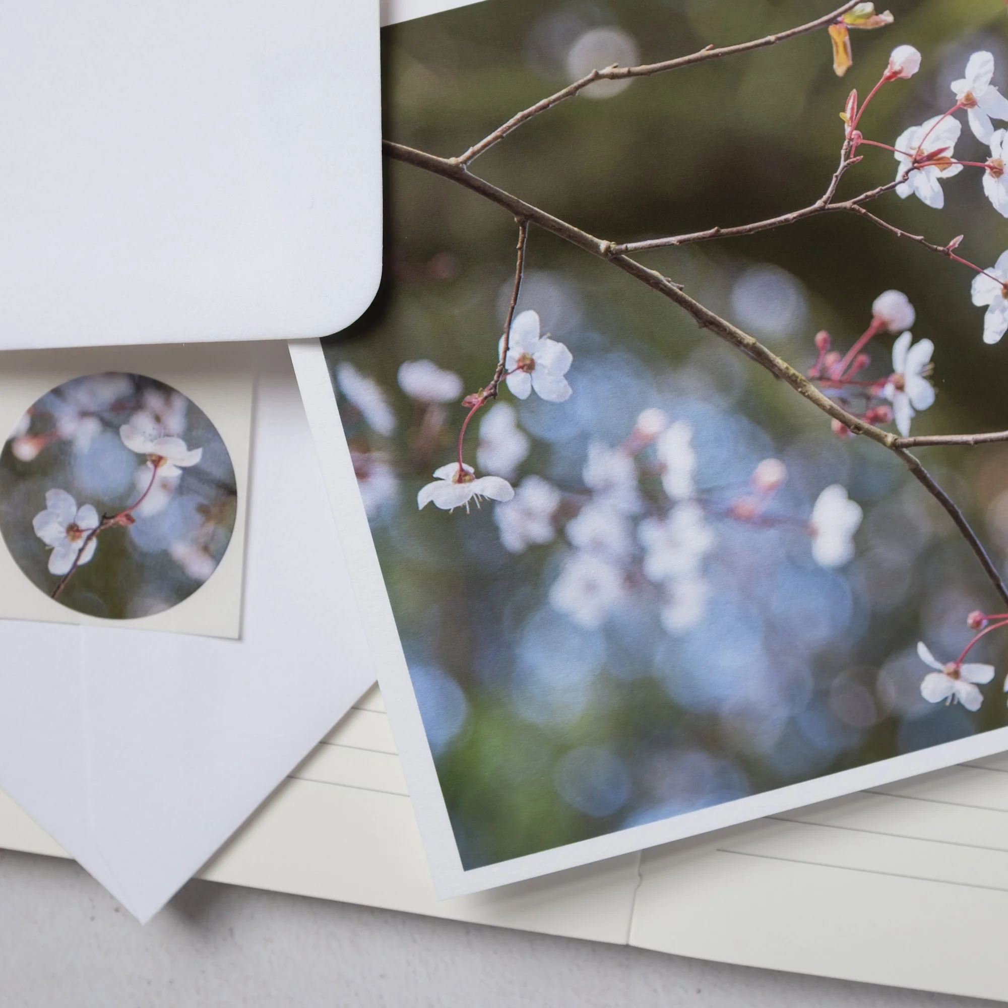 Cherry Blossom Spring Card