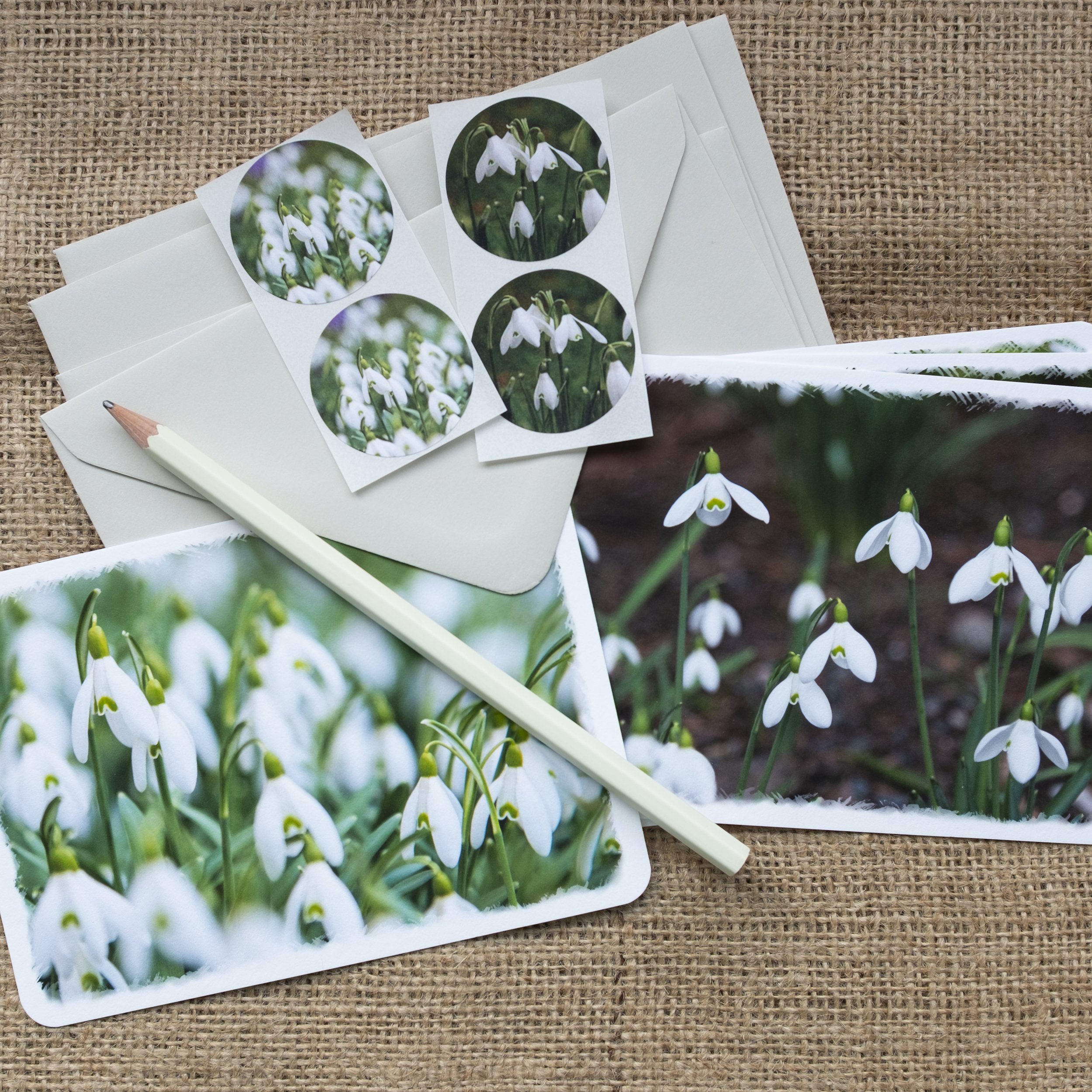 Snowdrop Notelets Set UK.jpg