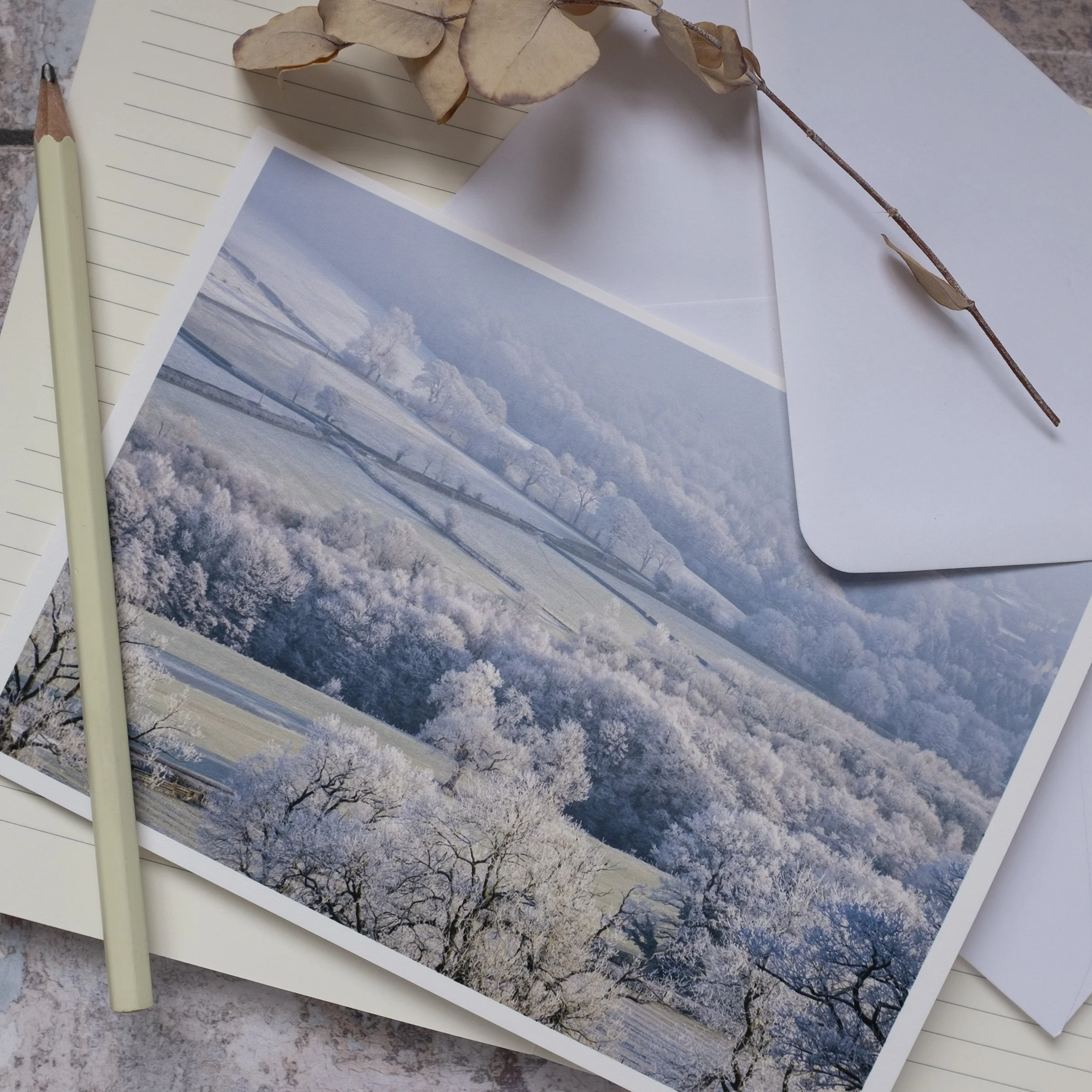 Winter Landscape Luxury Photographic Greeting Card