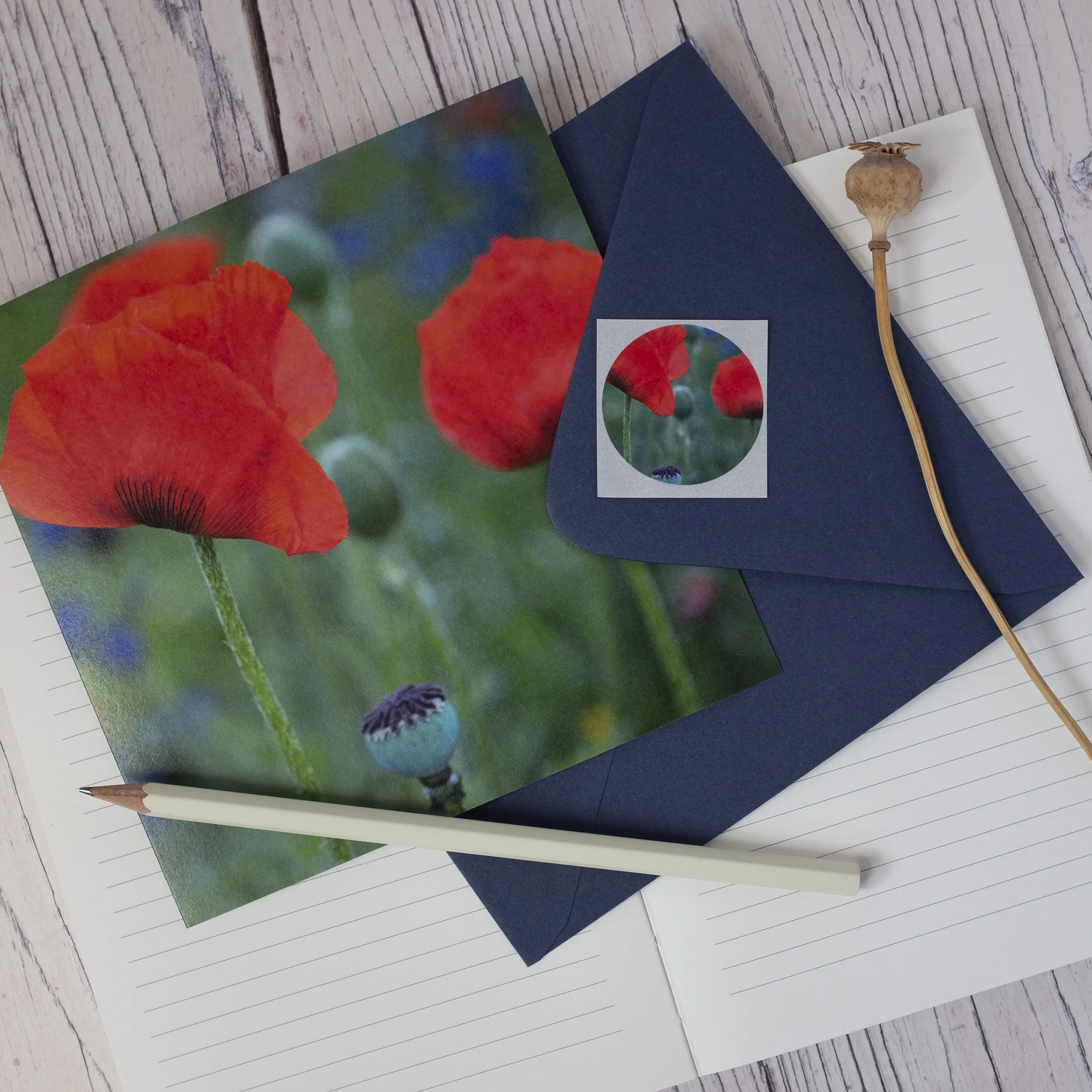 Poppy Garden Floral Greeting Card UK