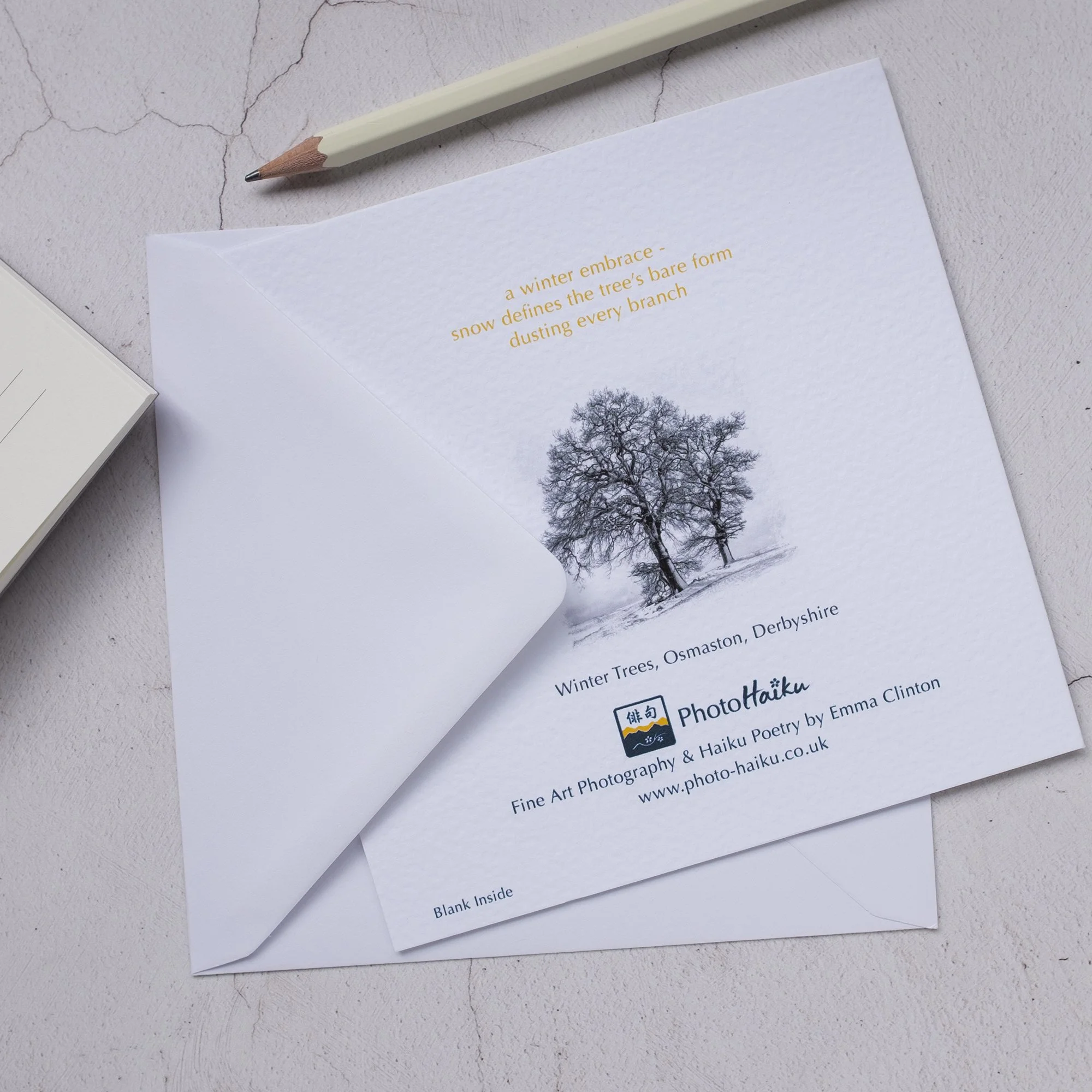 Winter Trees Black and White Photo Greeting Card