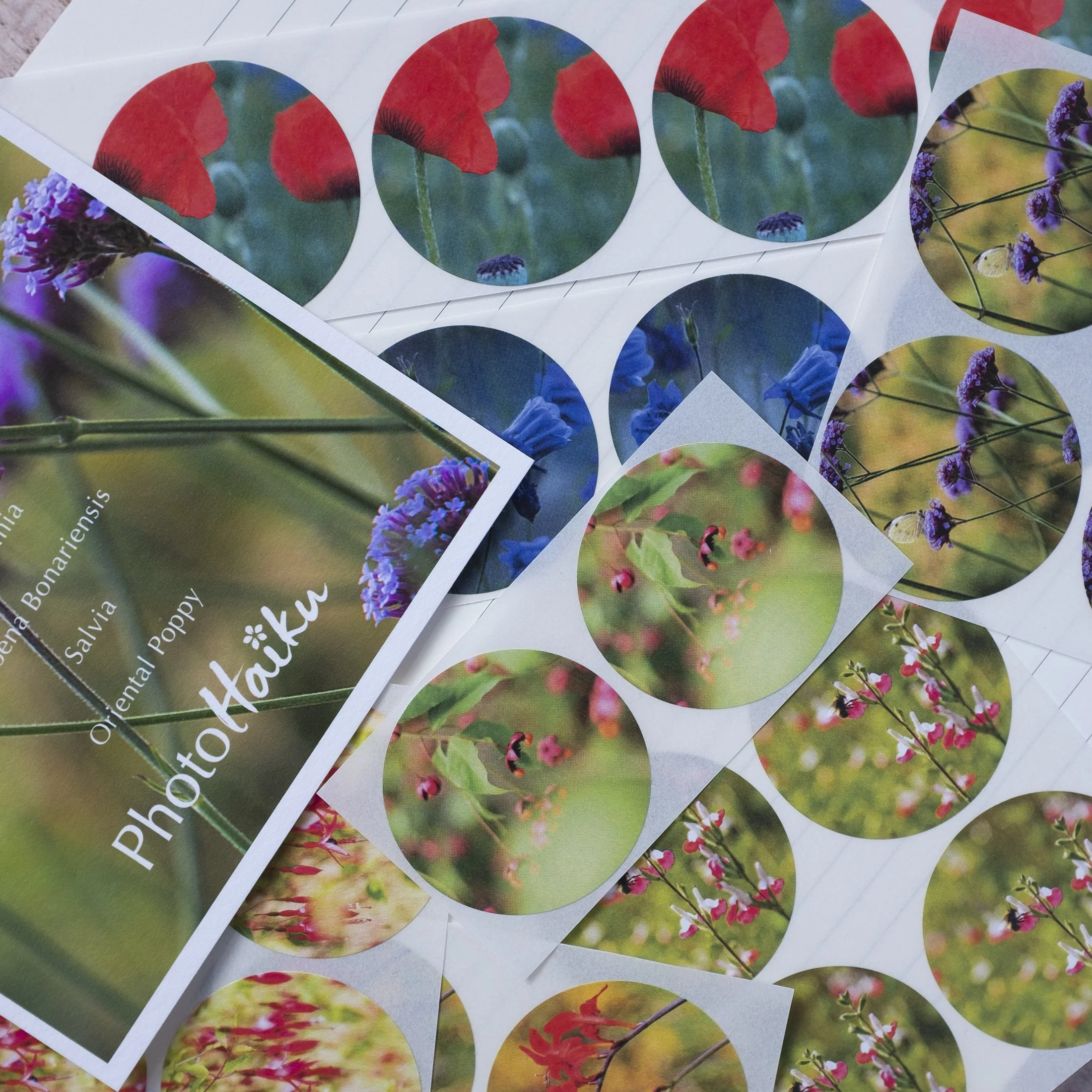 Boxed Set of 50 Round Garden Floral Stickers in Eight Varieties