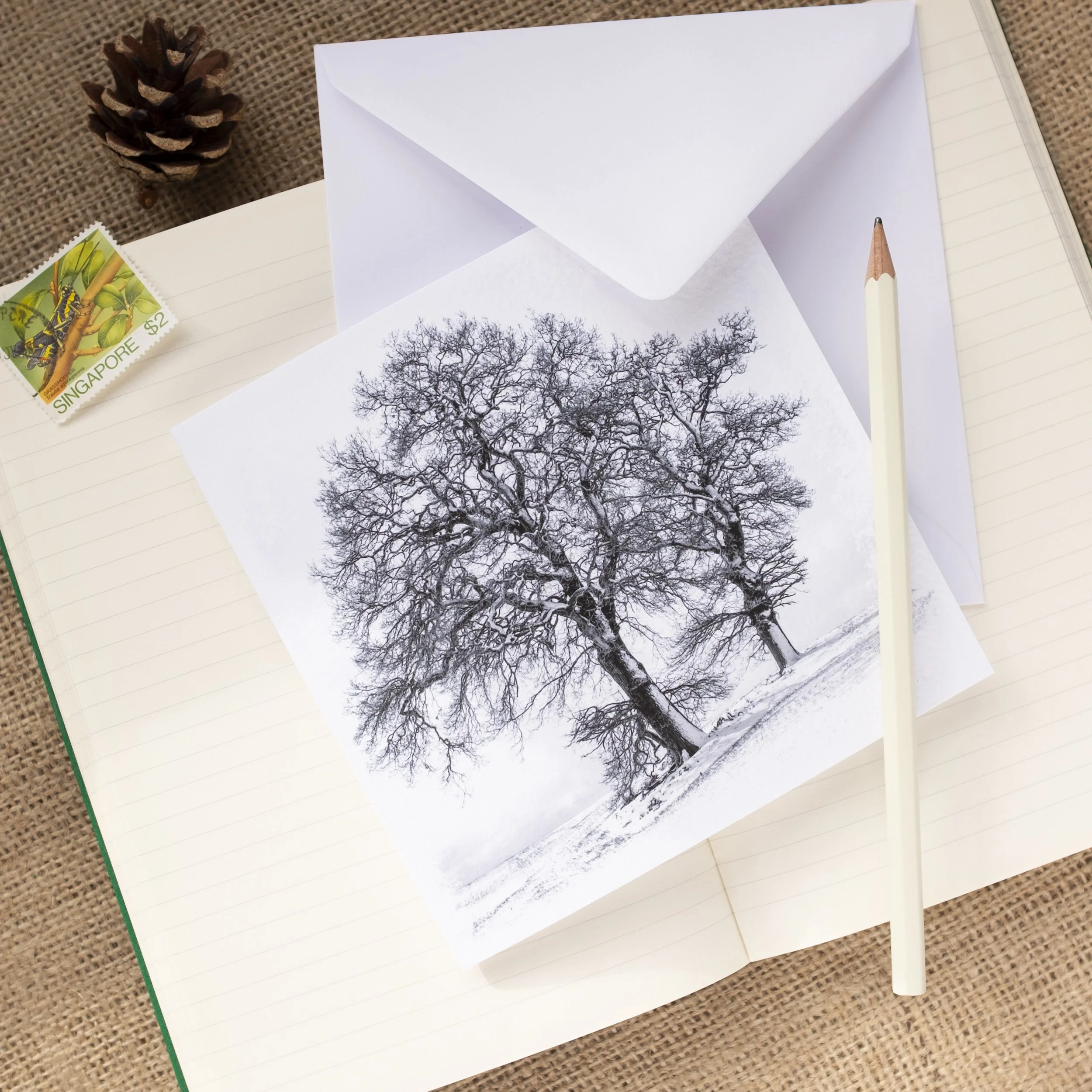Winter Trees Monochrome Photographic Greetings Card