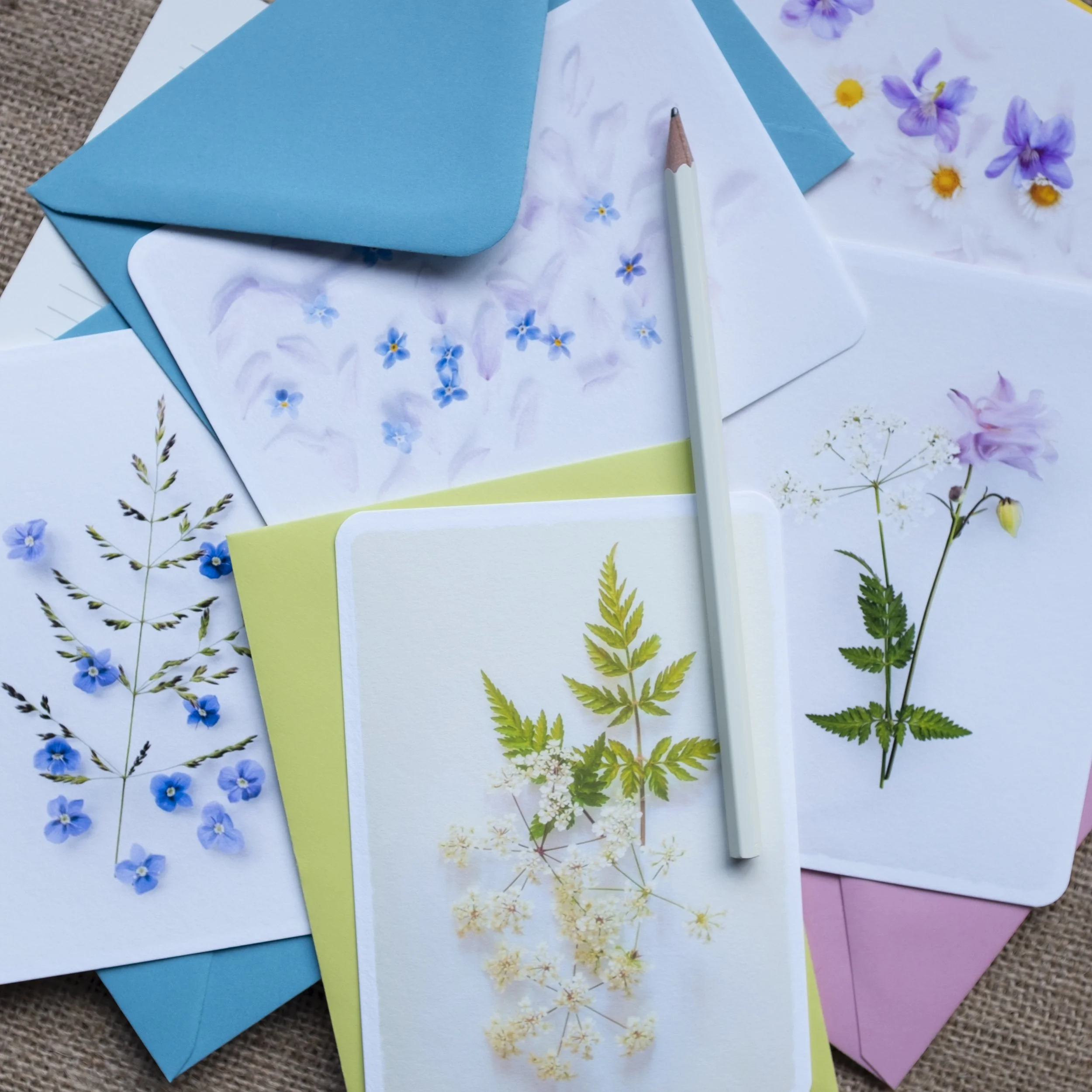 Wildflower notelets gift set UK