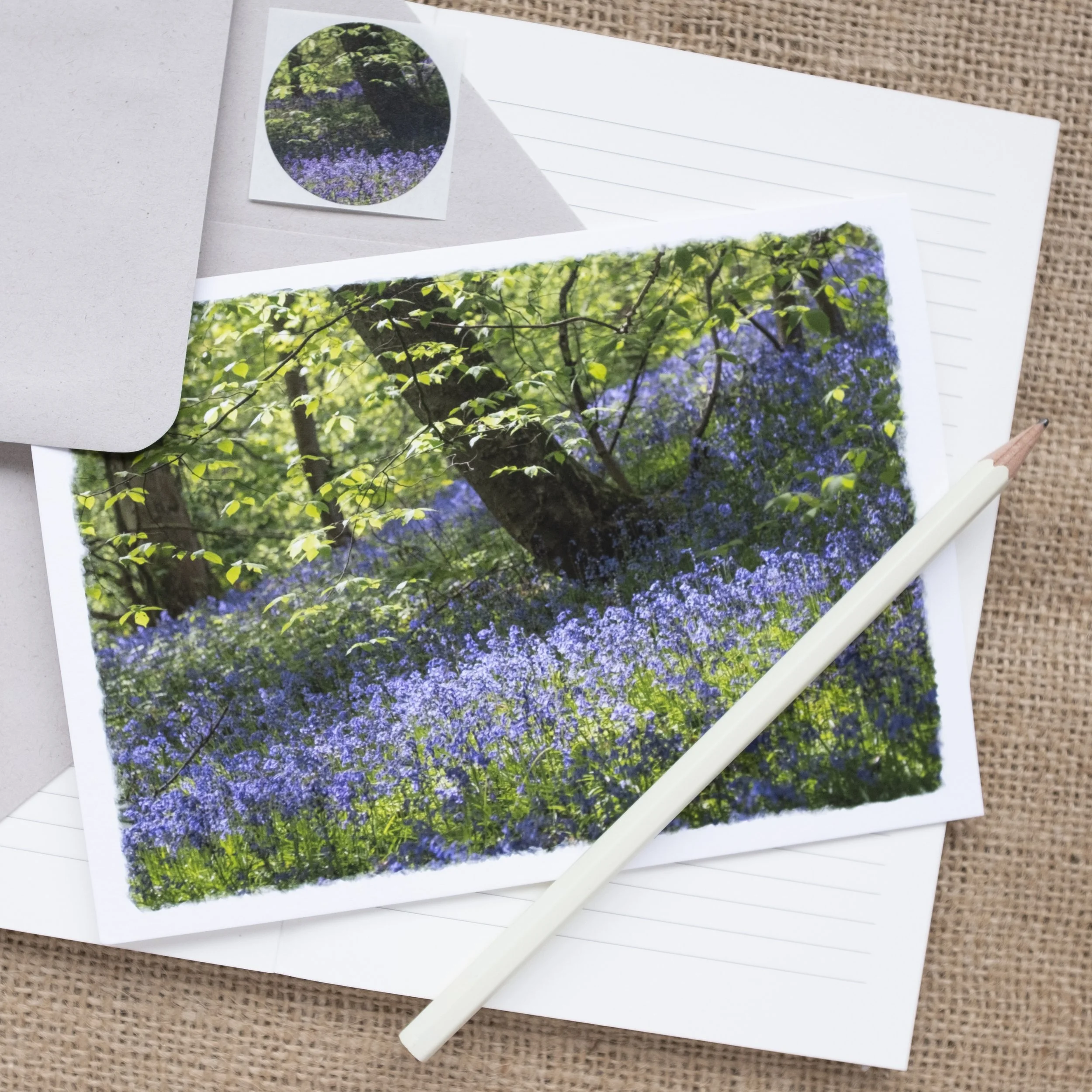 Bluebell Woods Greetings Card