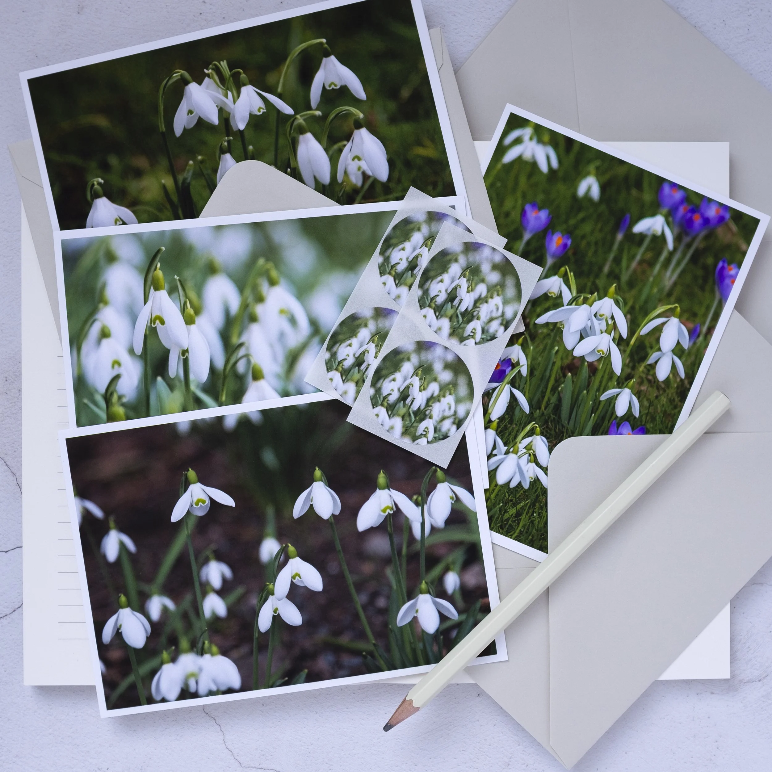 Snowdrop notelets set made in the UK, A6 with snowdrop sticker seals.