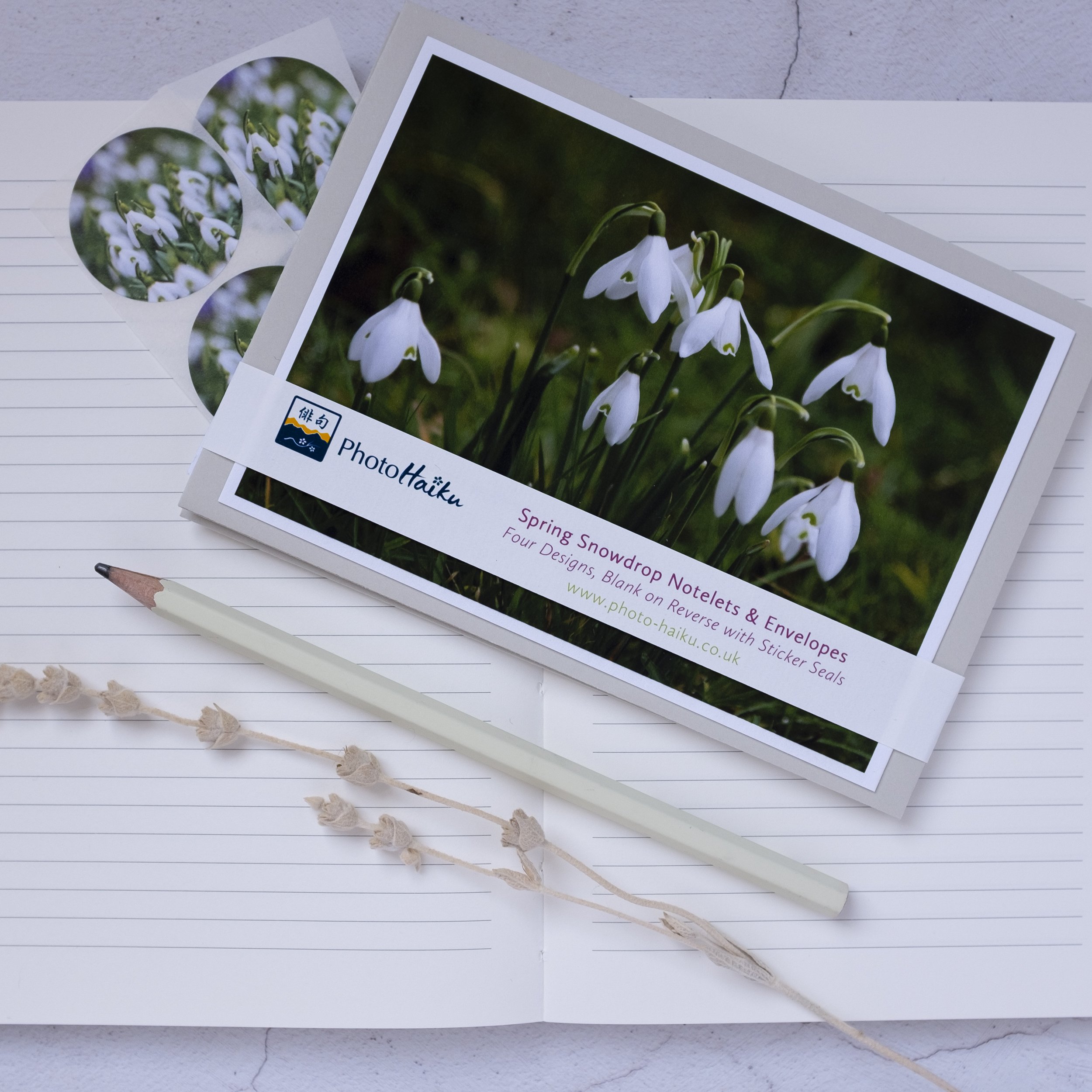 Snowdrop notelets set made in the UK, A6 with snowdrop sticker seals.