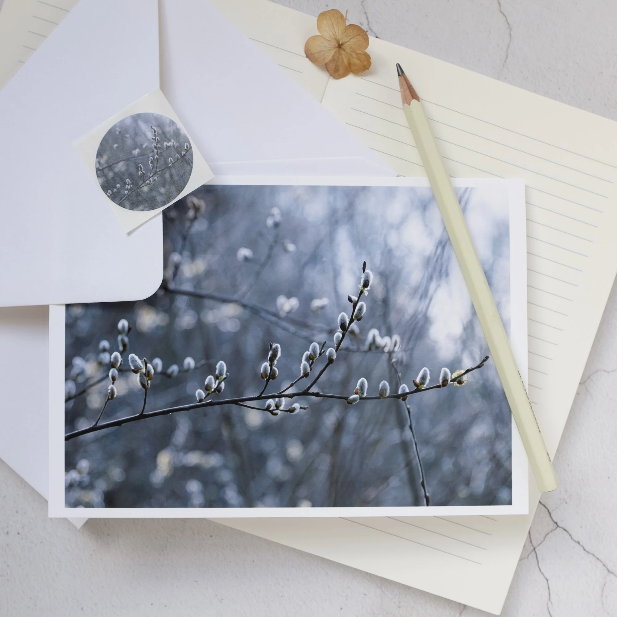 Spring Willow Luxury Greeting Card with Sticker Seal