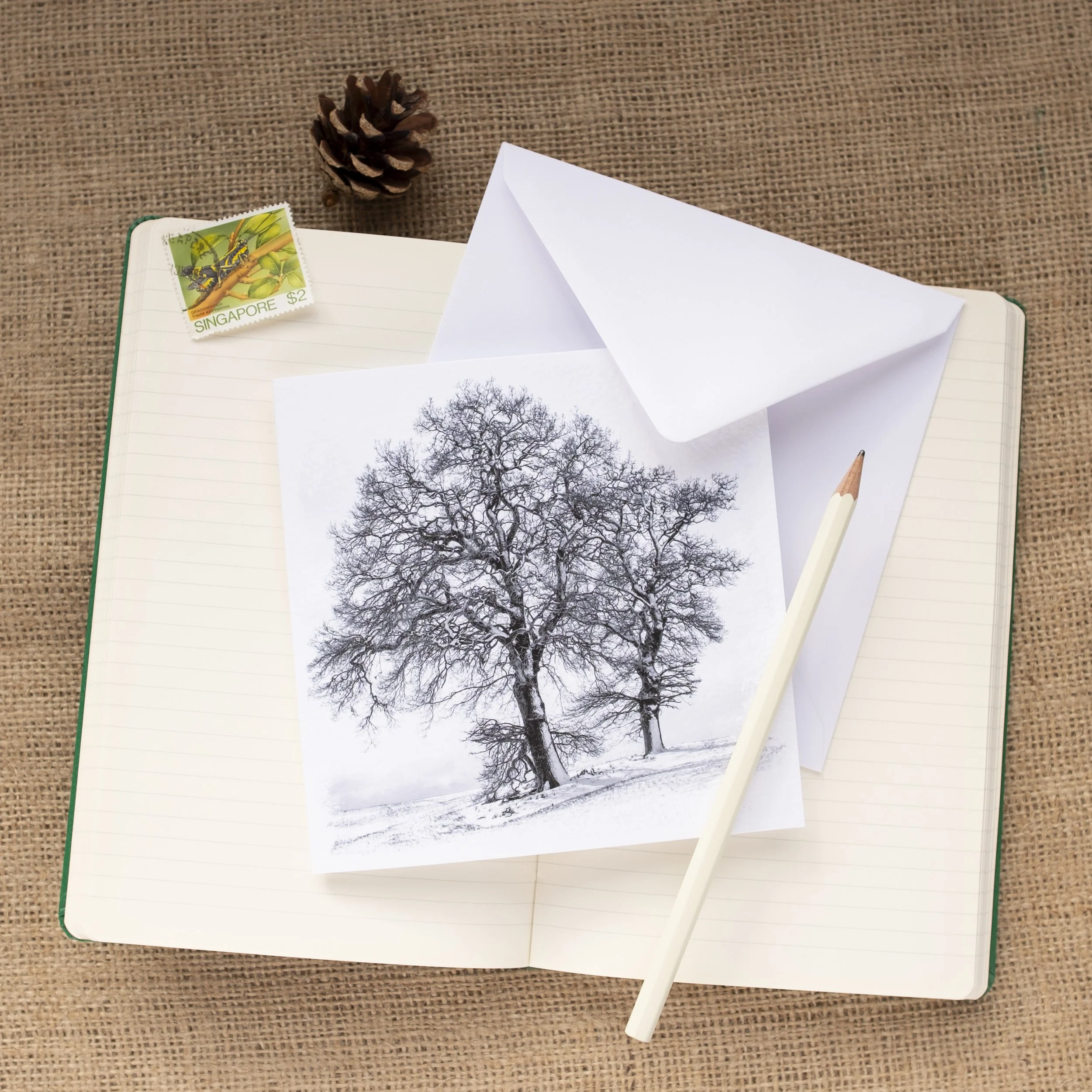 Winter Trees Monochrome Photographic Greetings Card