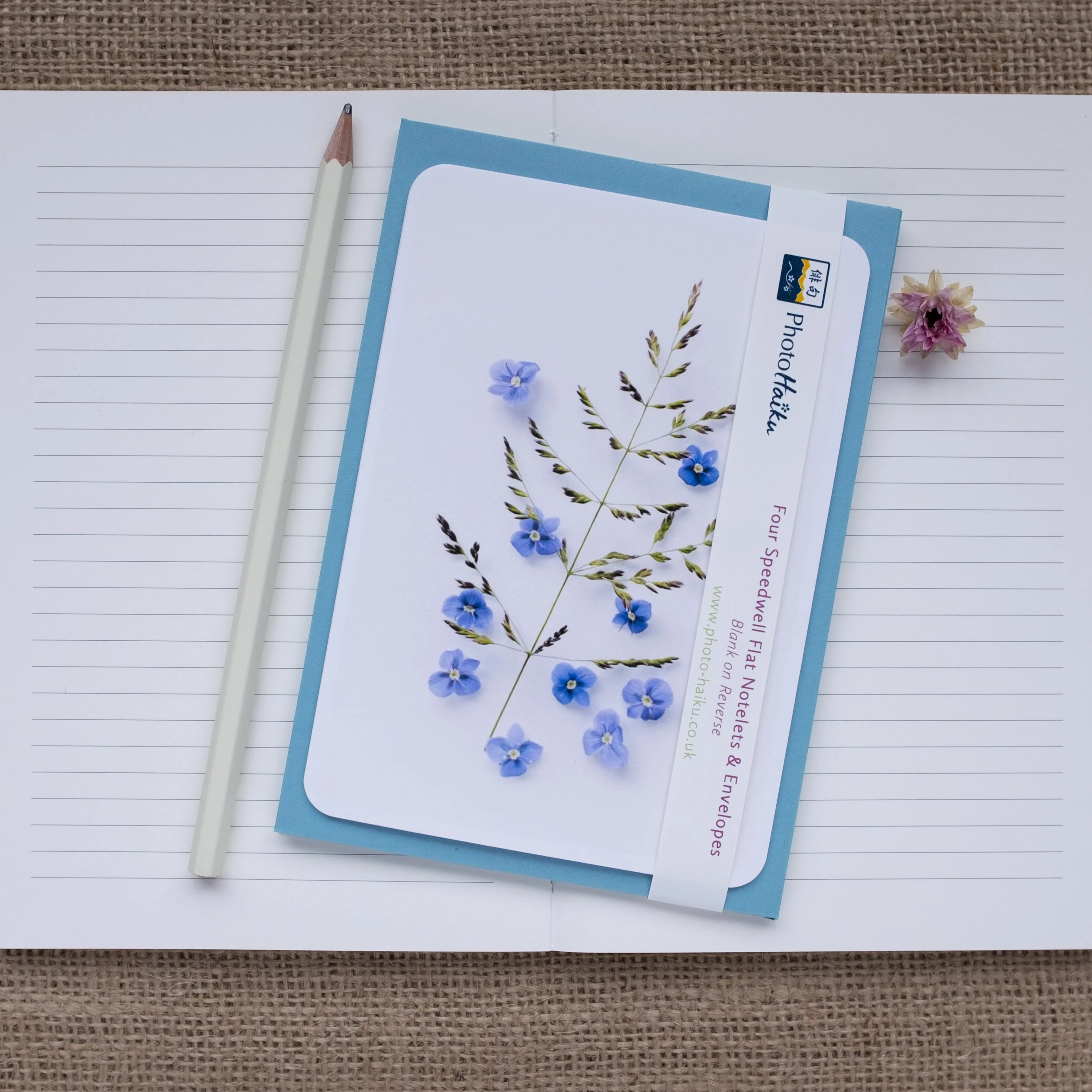 Blue speedwell wildflower notelets UK