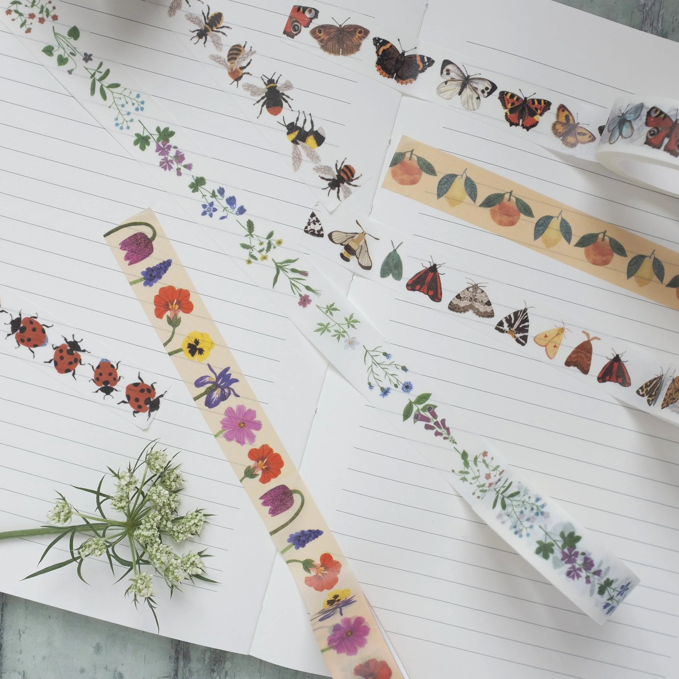 Washi Tape Collection1.jpg