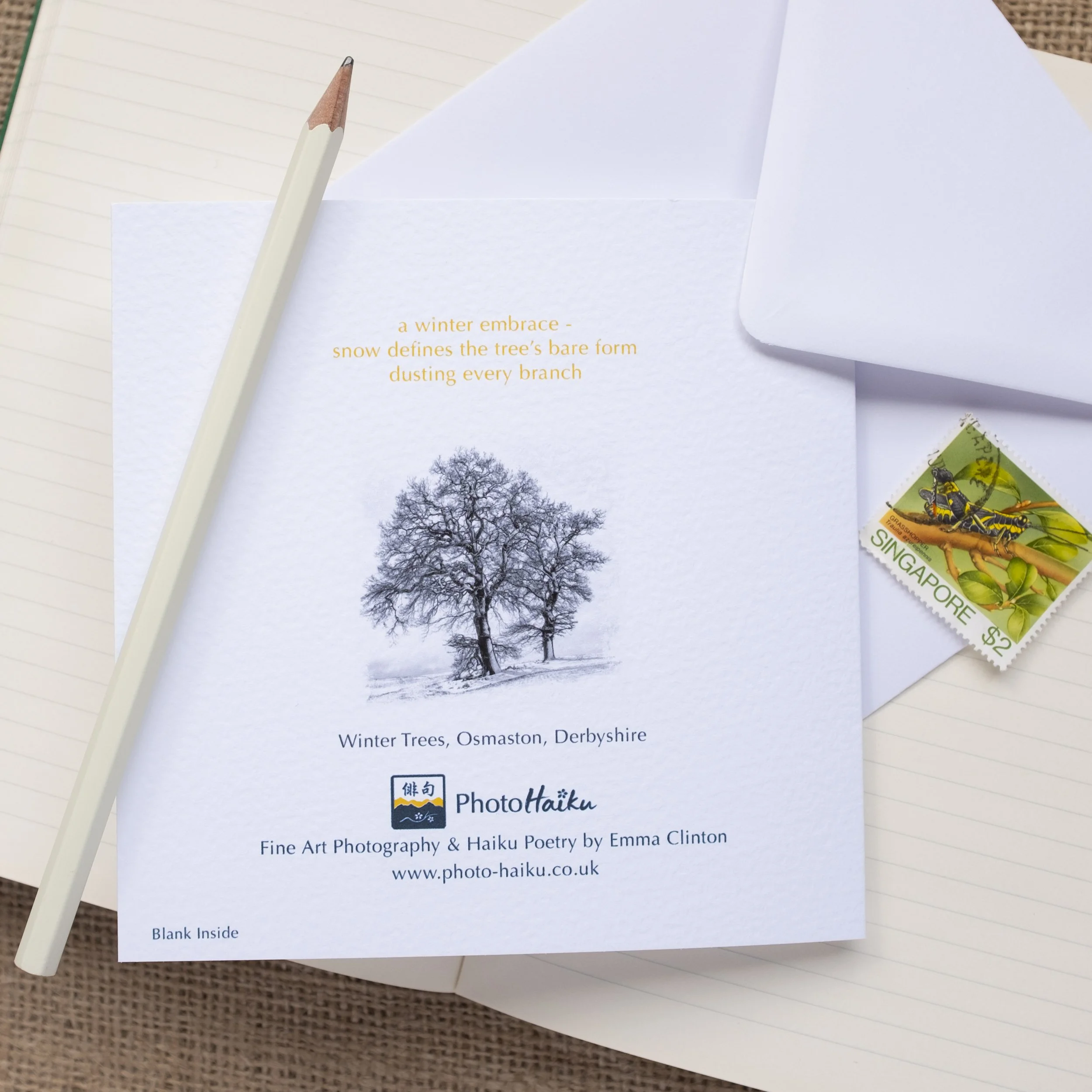 Winter Trees Monochrome Photographic Greetings Card