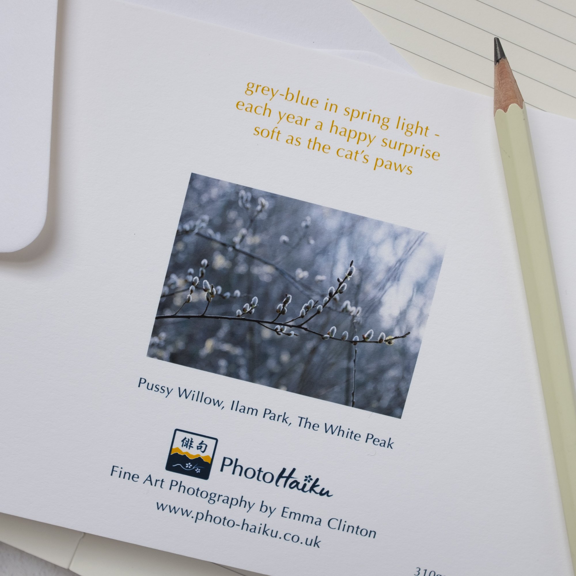 Luxury Spring Willow Card with Sticker Seal