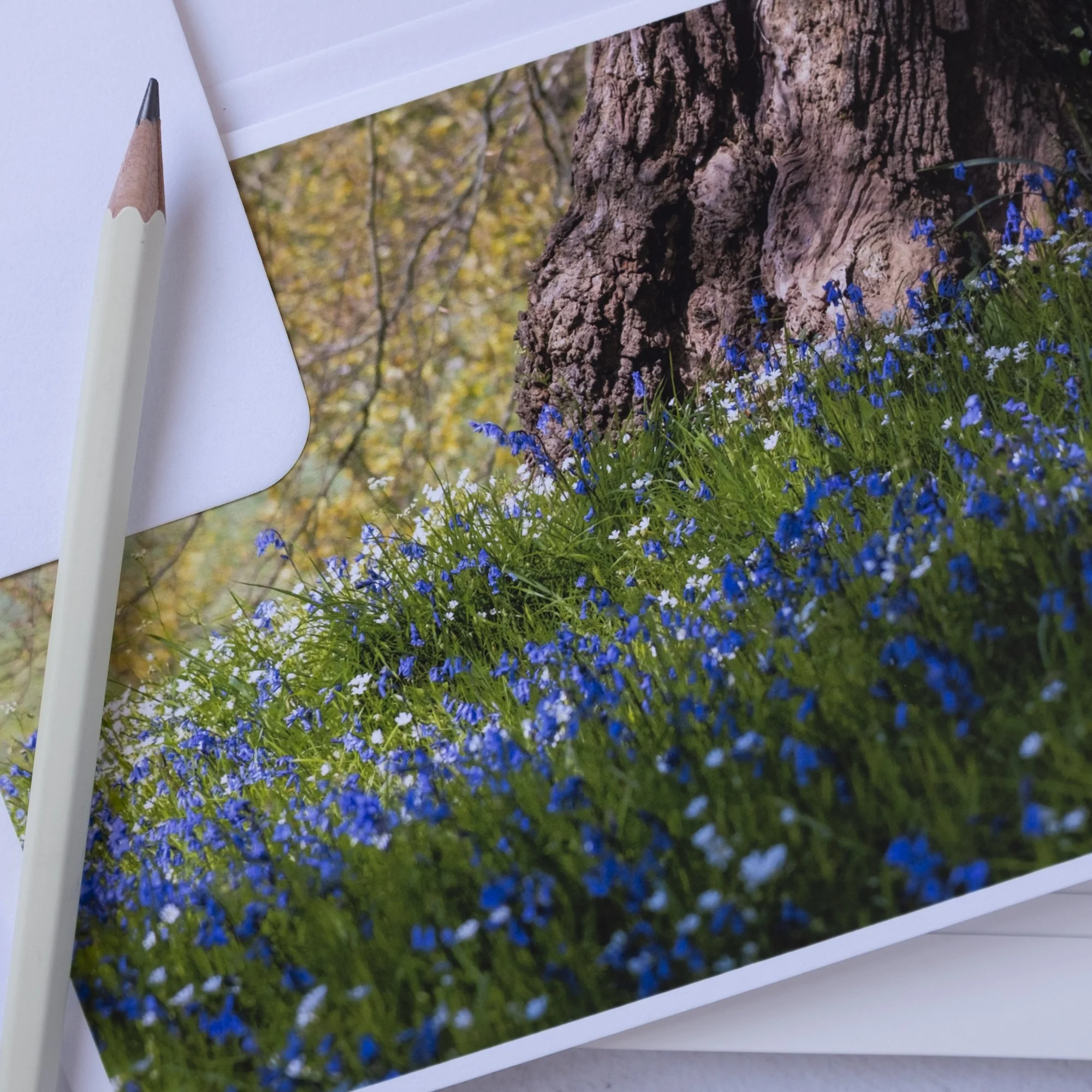Bluebells beneath a tree luxury card with white envelope.