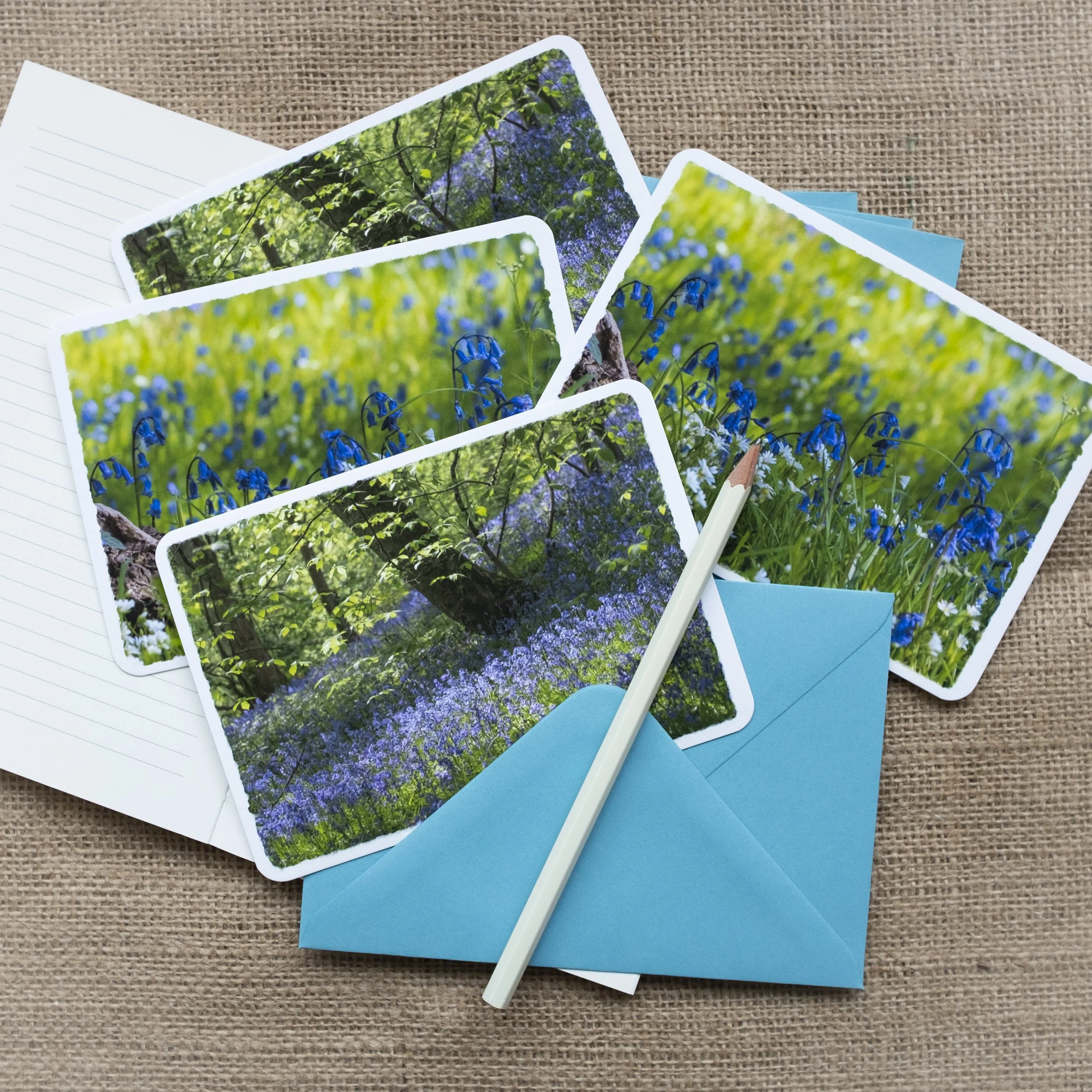 Bluebells Notelets UK