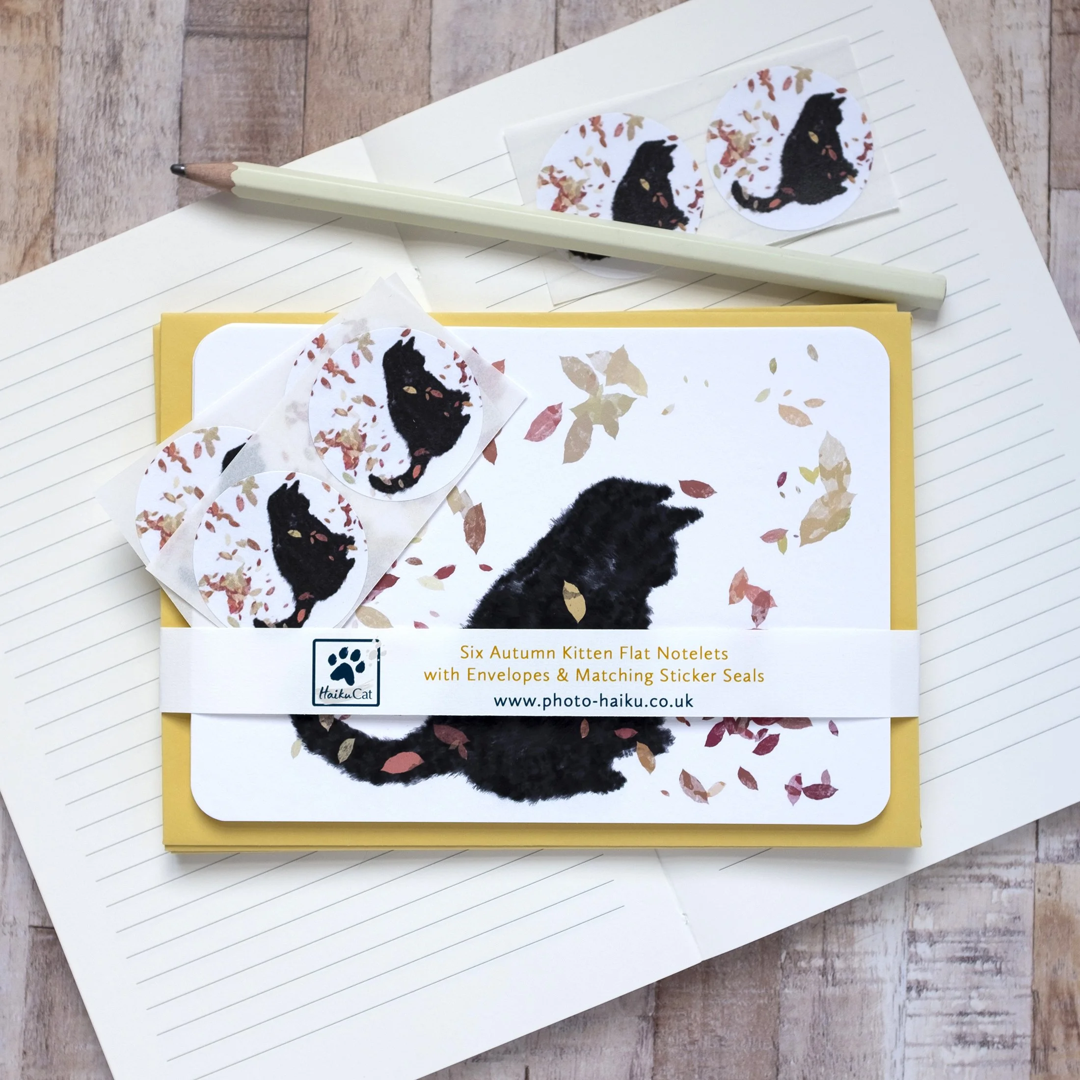 Black Cat Notelets Set with Stickers