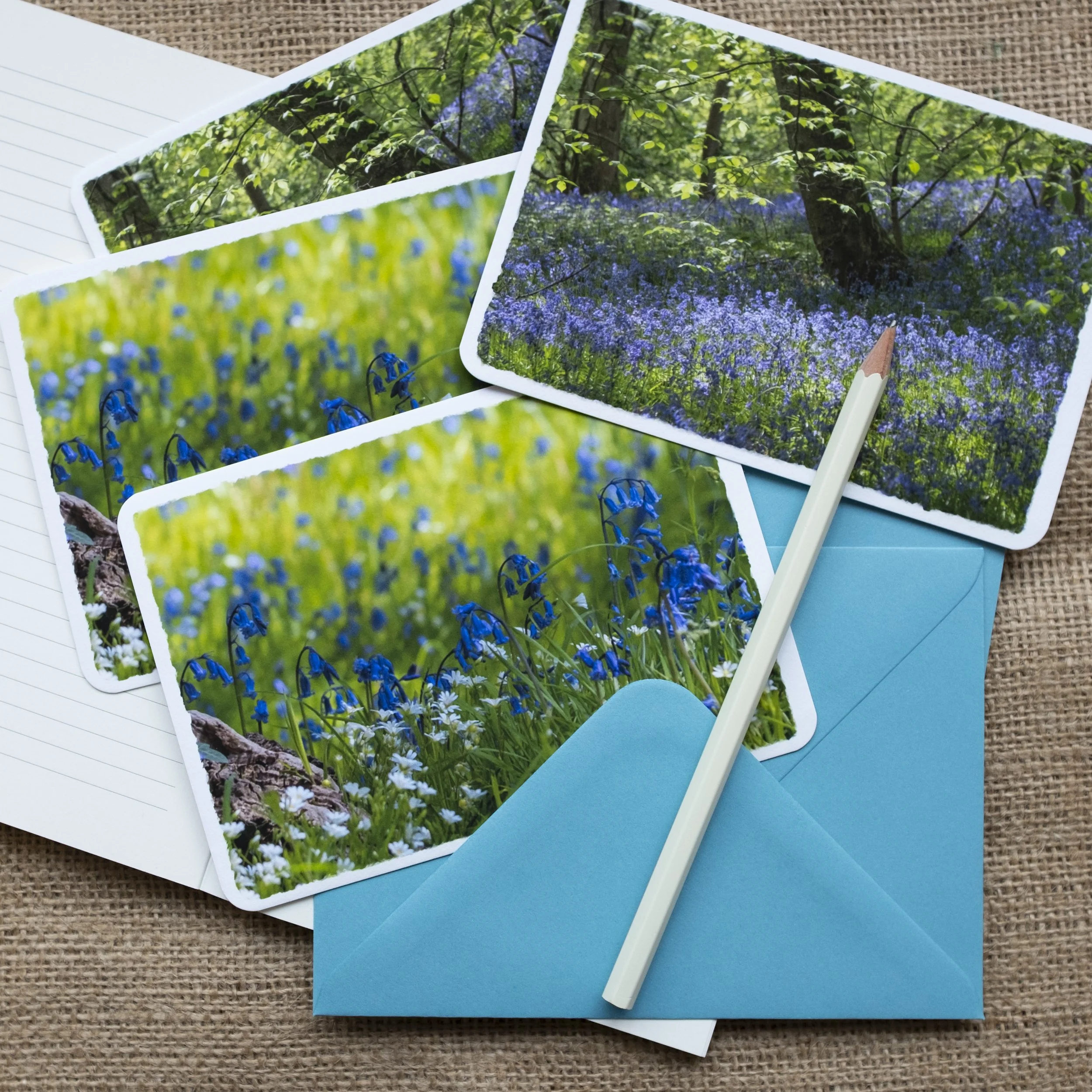 Bluebells Notelets UK