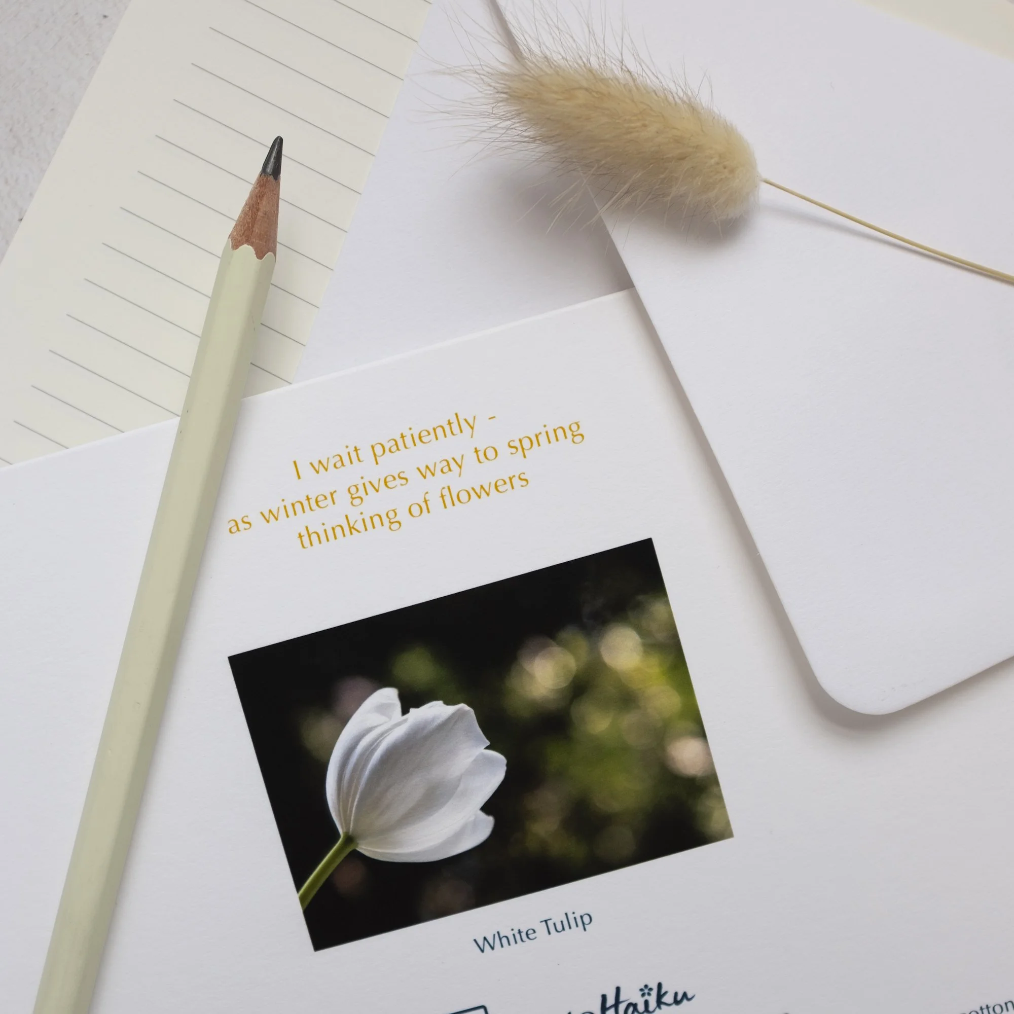 White Tulip Luxury Spring Greeting Card with Haiku Poem on Reverse