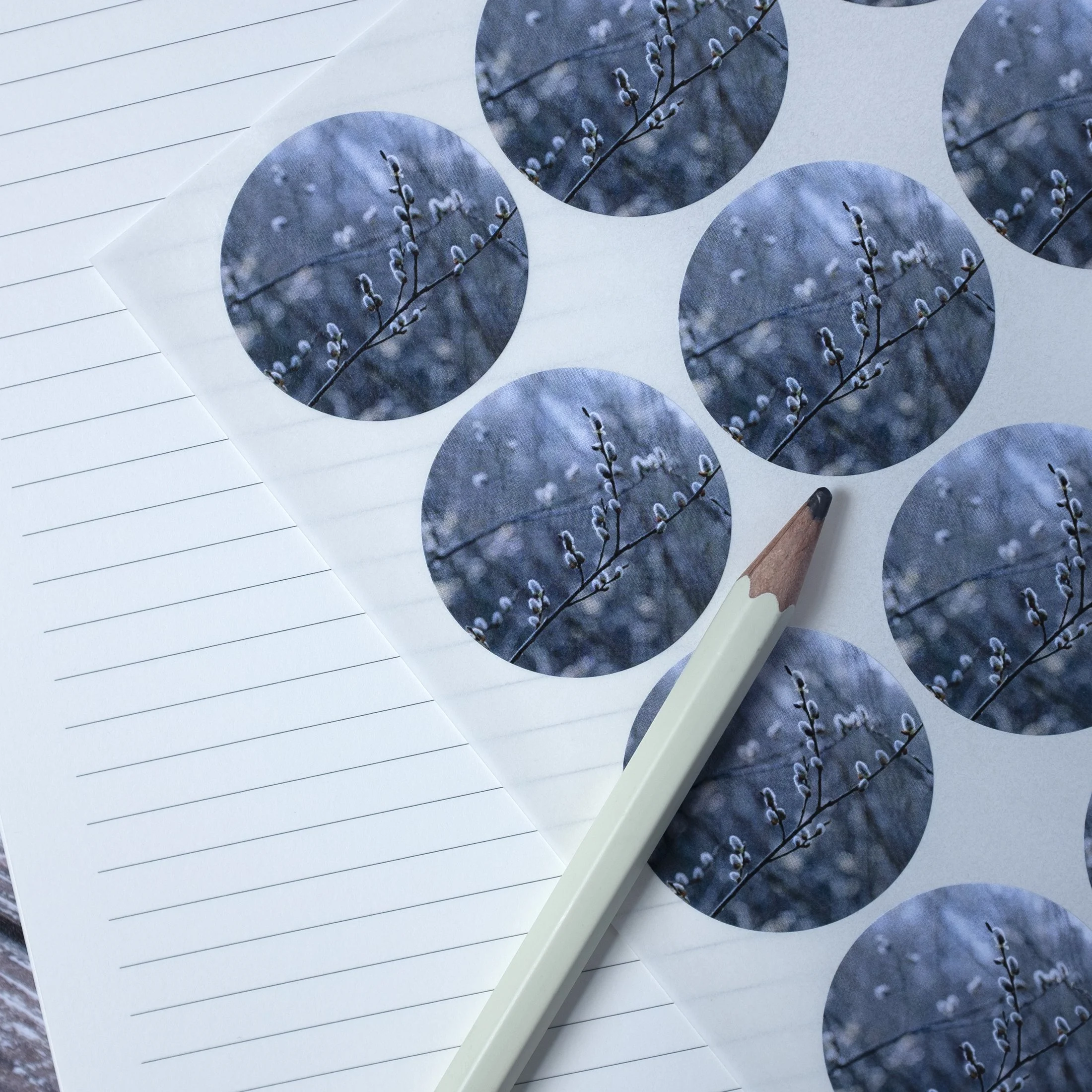 Spring stickers with catkins.