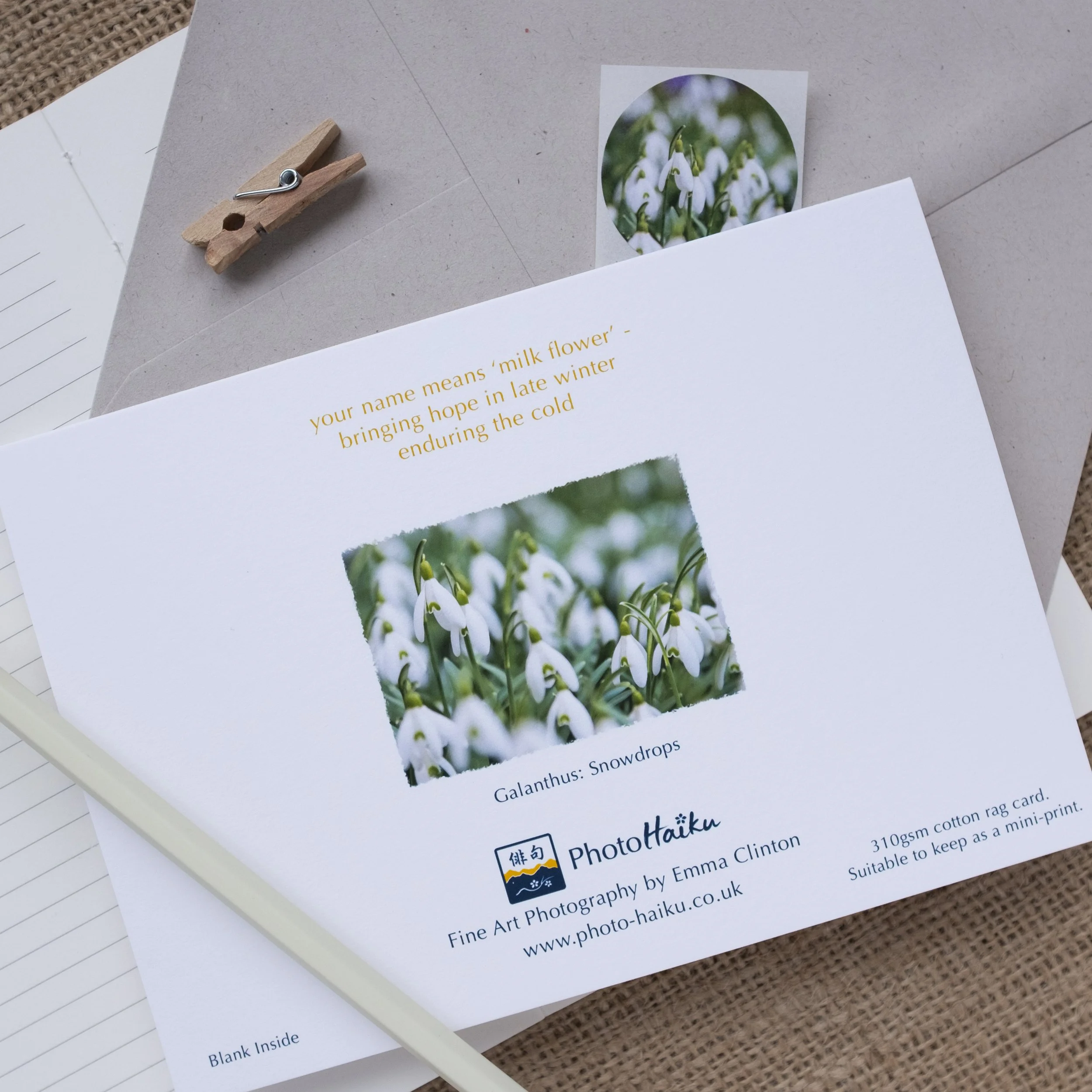 Snowdrops Greeting Card